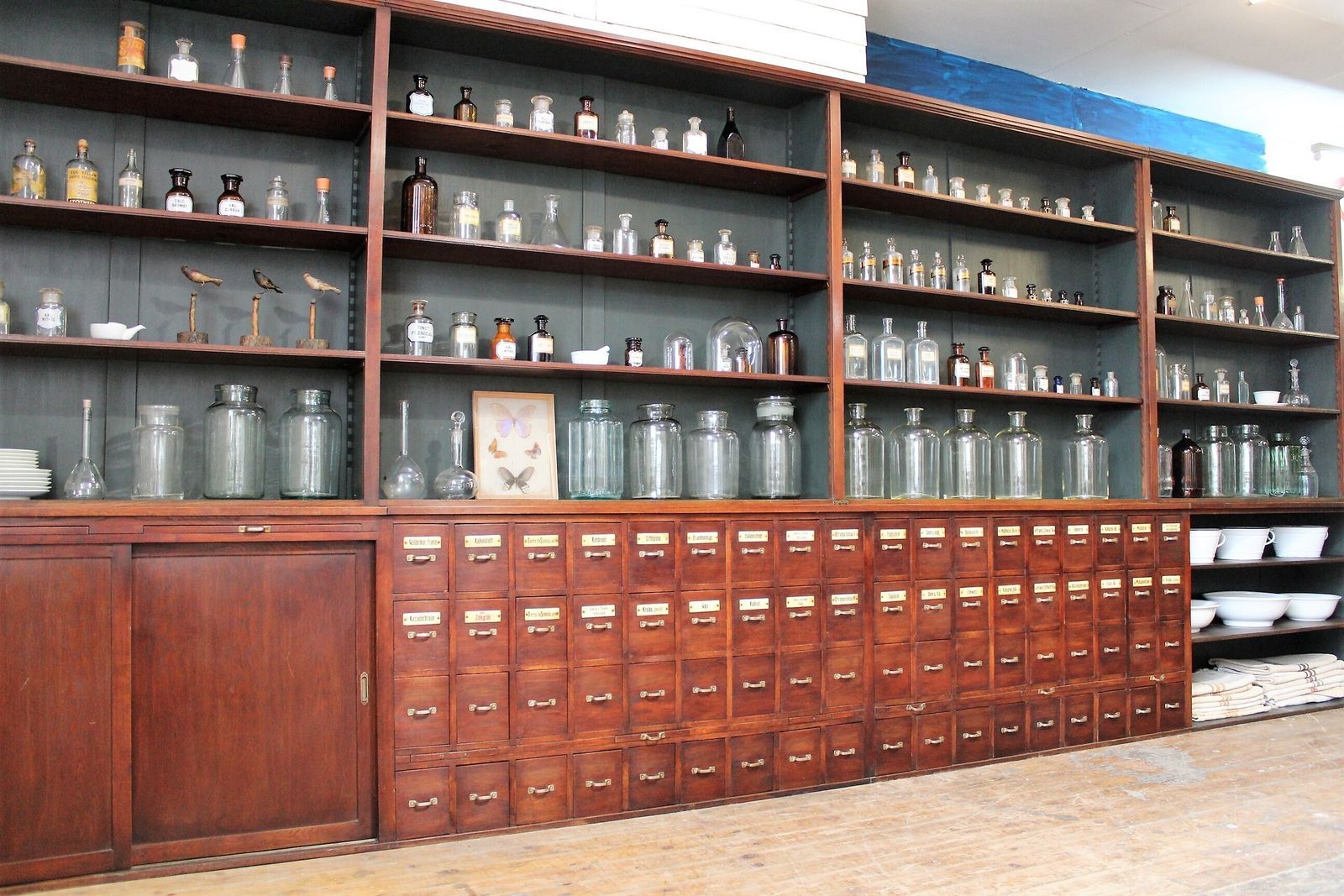 Large Old German Apothecary/Chemists/Pharmacy Shop Display Bar Restaurant 1920s photo buy