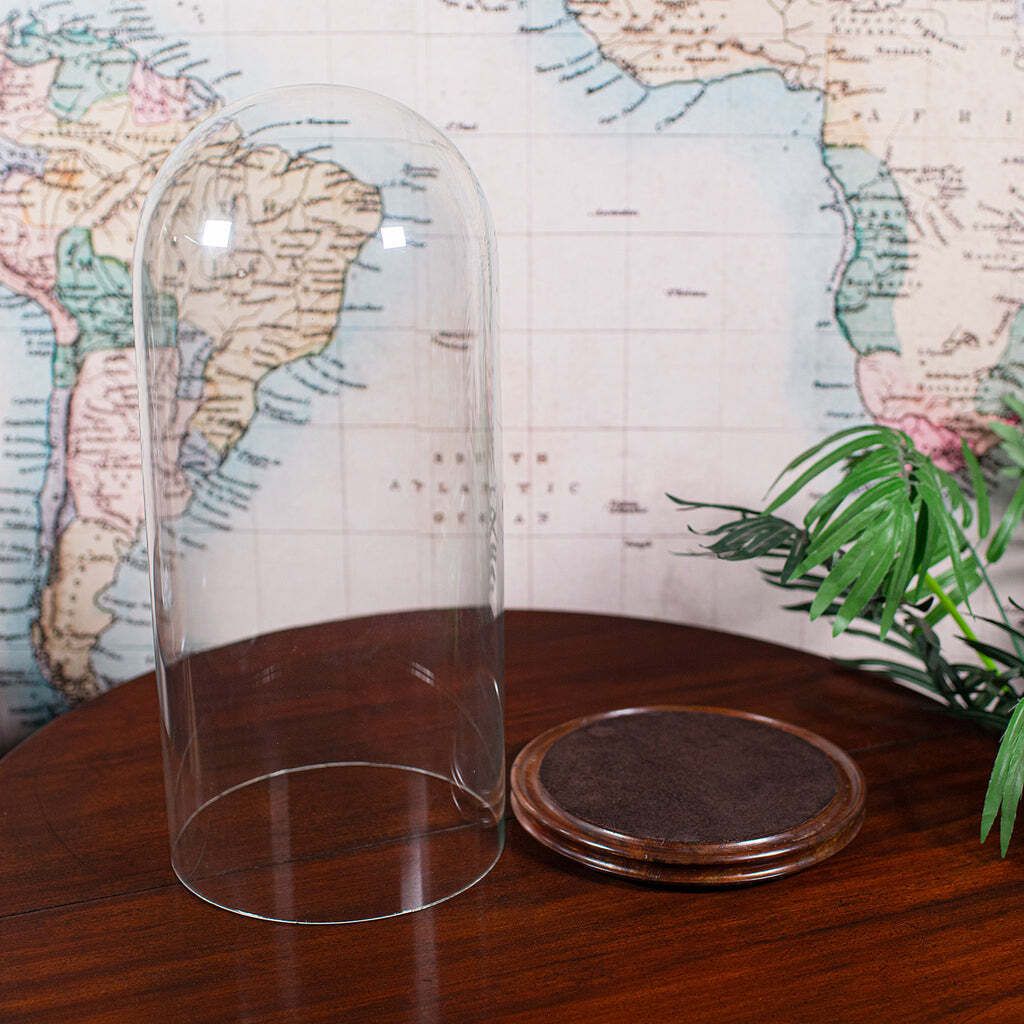 Antique Victorian Display Dome, English, Glass, Taxidermy Showcase, Collectors photo 689.0