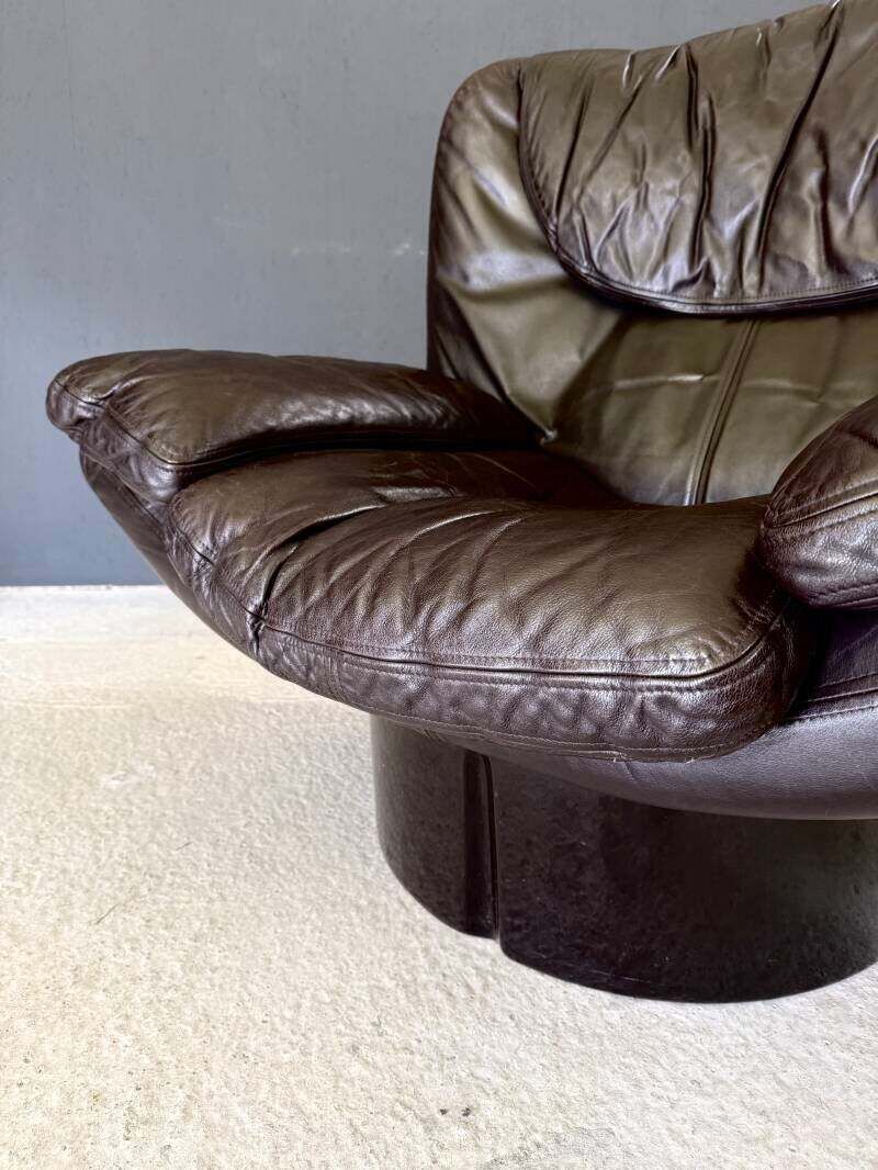 photo vinterior Il Poltrone Lounge Chair By T. Ammannati & G.P. Vitelli For Comfort, Italy 1973