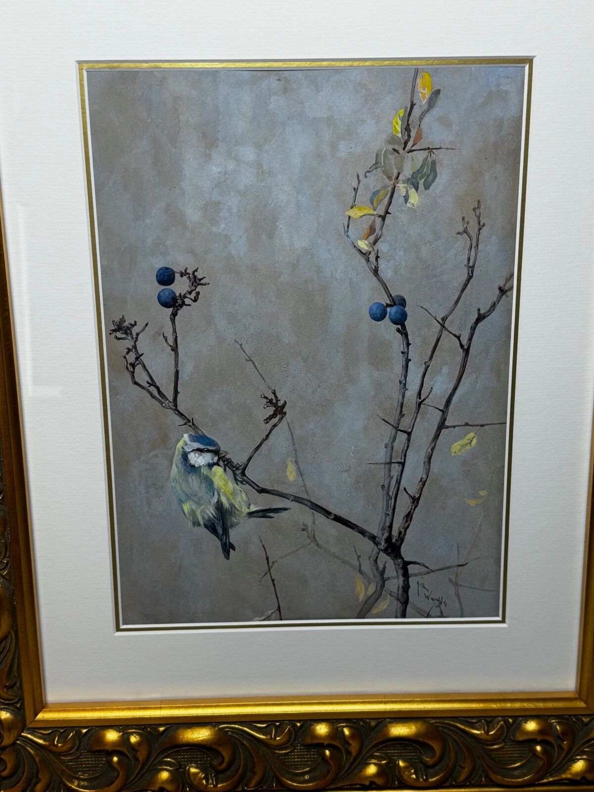 photo for sale Victorian C1900 Antique Painting Apple Blossom Blue Tit Bird By Arthur Wardle