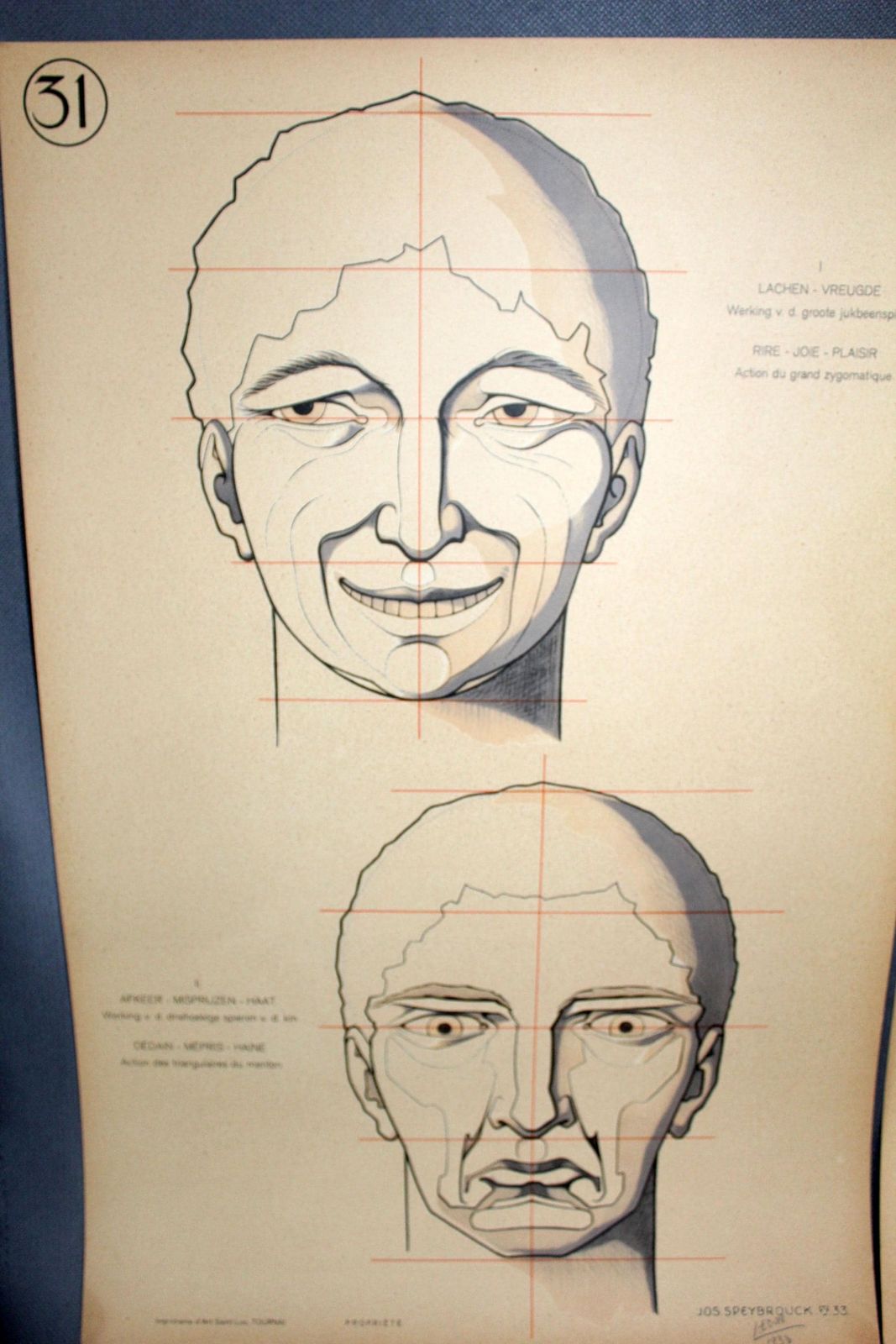 Set Of Two Large Art Deco Antique Anatomy Muscle Face Facial Expressions, How To Draw, Speybrouck 1933 Belgium Tournai, Science, Ship Tubed photo furniture