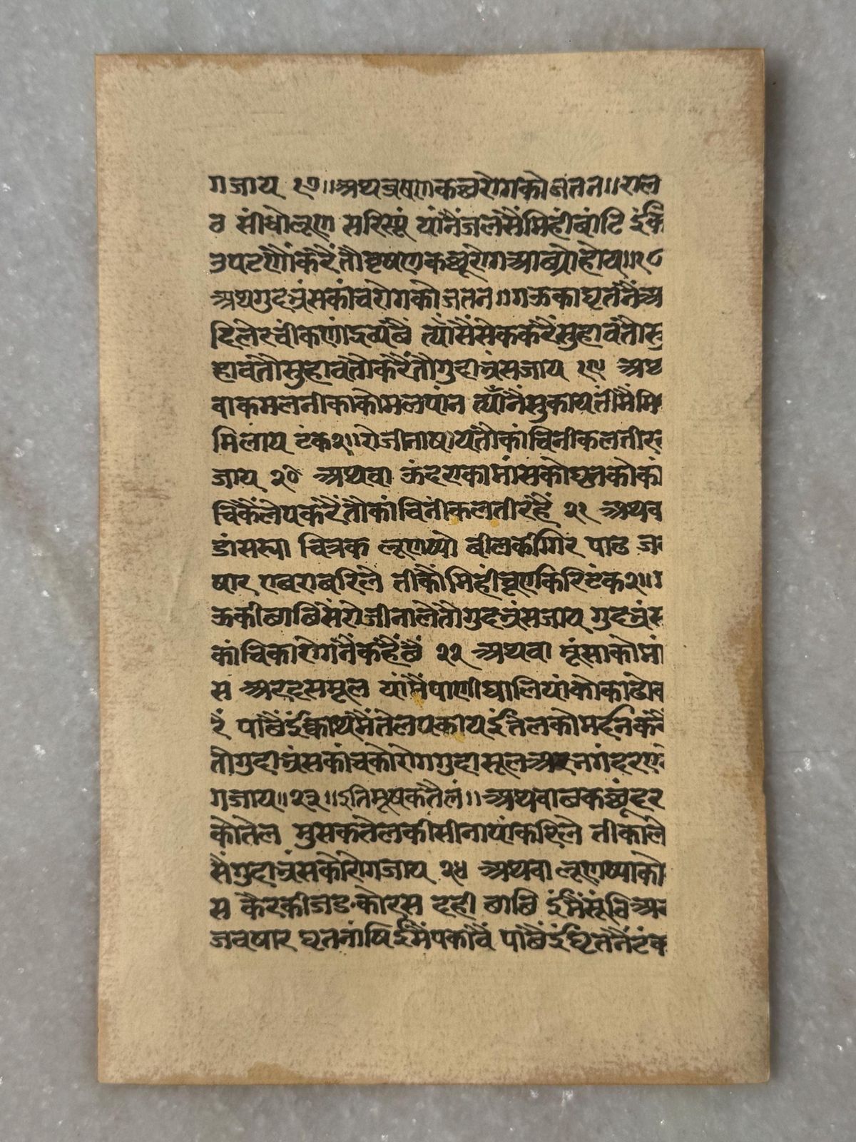 Hand Painted Mughal Miniature On Antique Sanskrit Manuscript Leaf – Peacock Study With Gold Detailing photo for sale