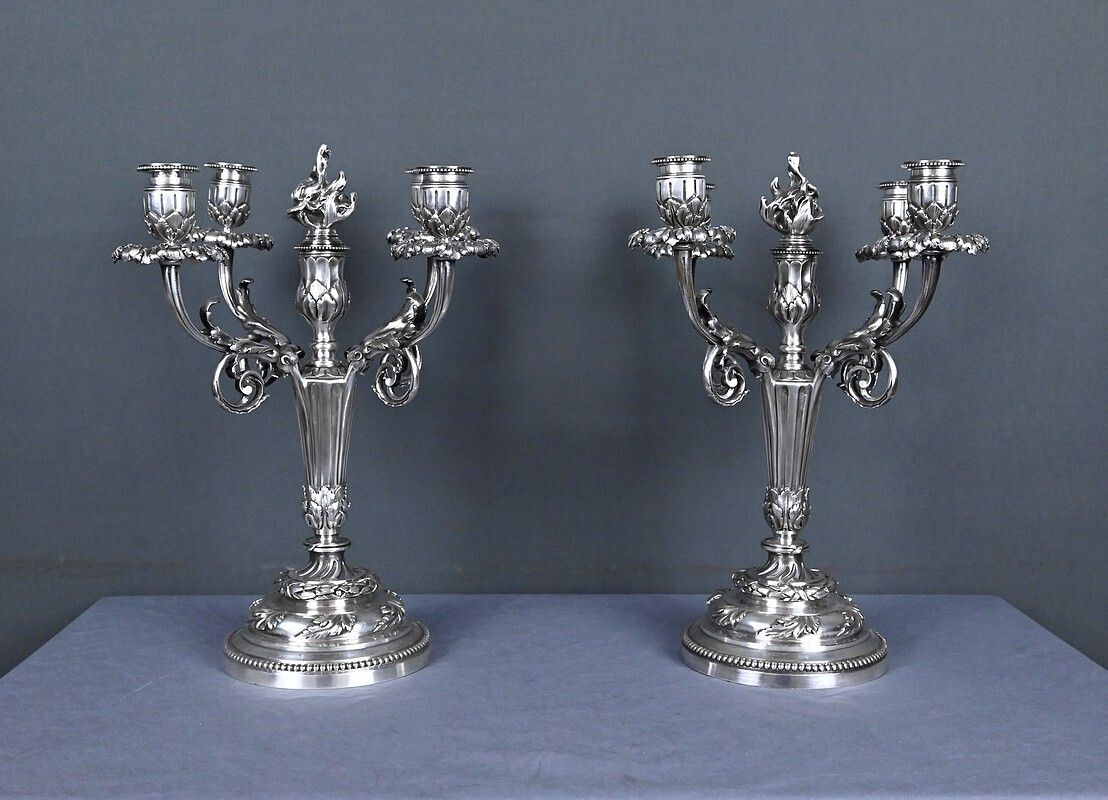 Pair Of Silvered Bronze Candelabra, Louis XVI Style – Late 19th Century photo 1820.0