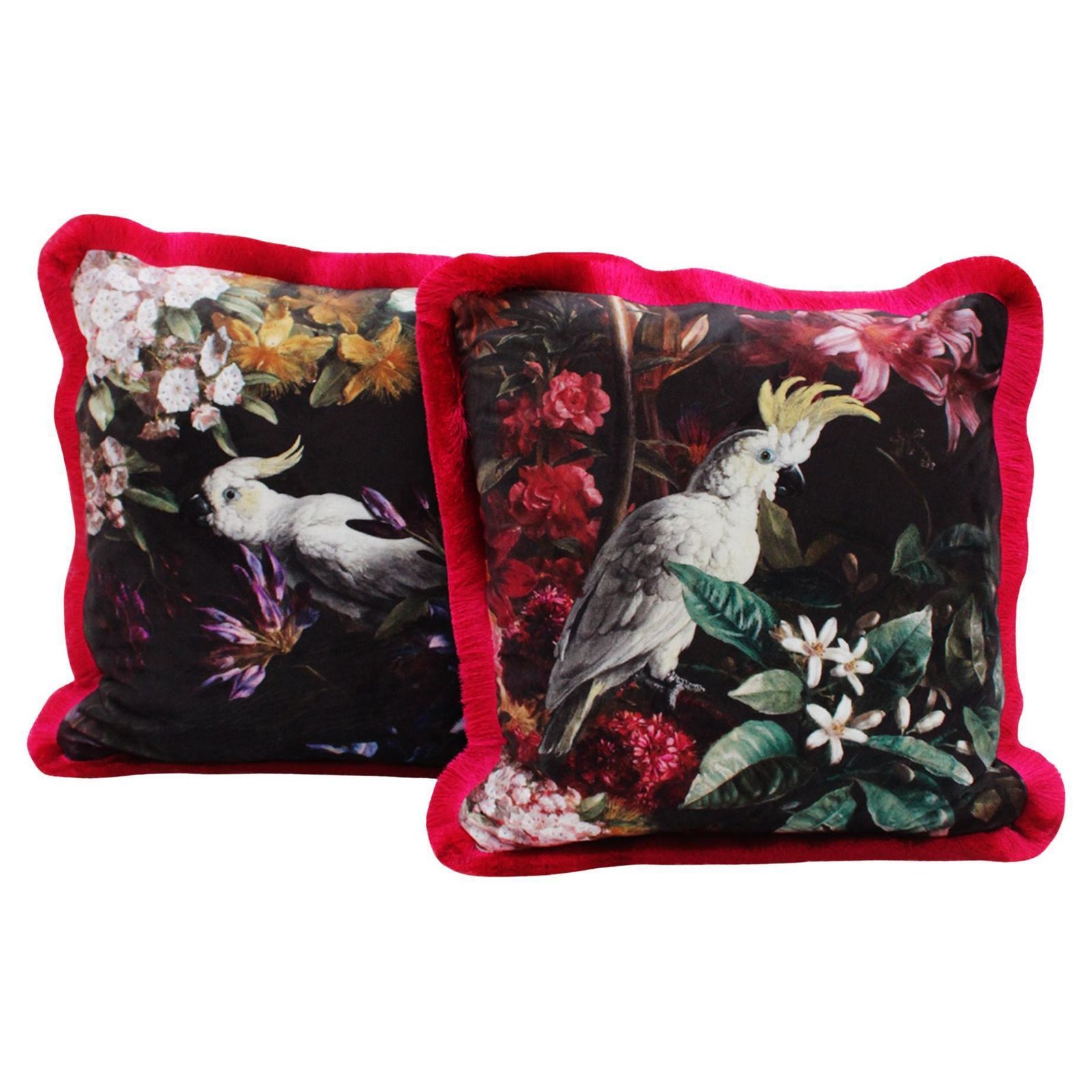 Pair Of Contemporary Cushions In Cotton Fabric And Dark Moare And Fuchsia Parrots