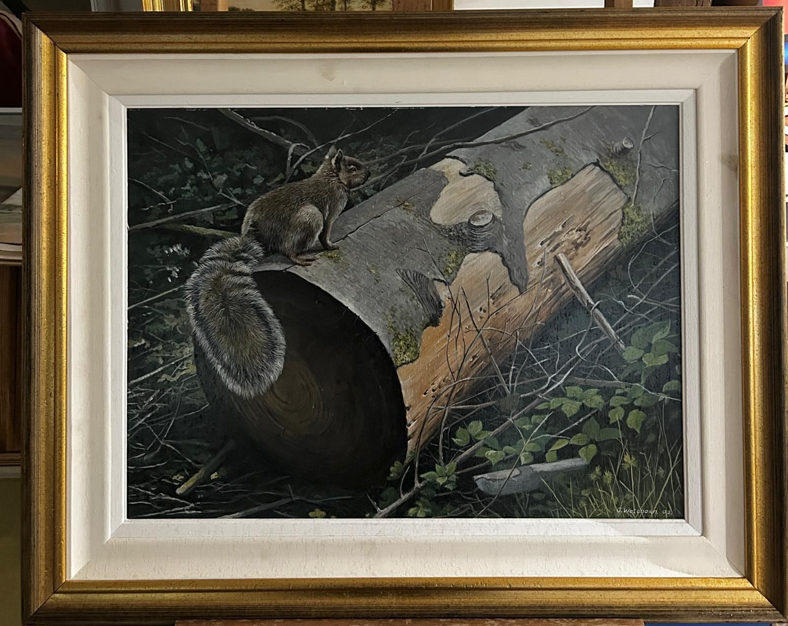 John Wachorn Oil Painting Of A Woodland Squirrel