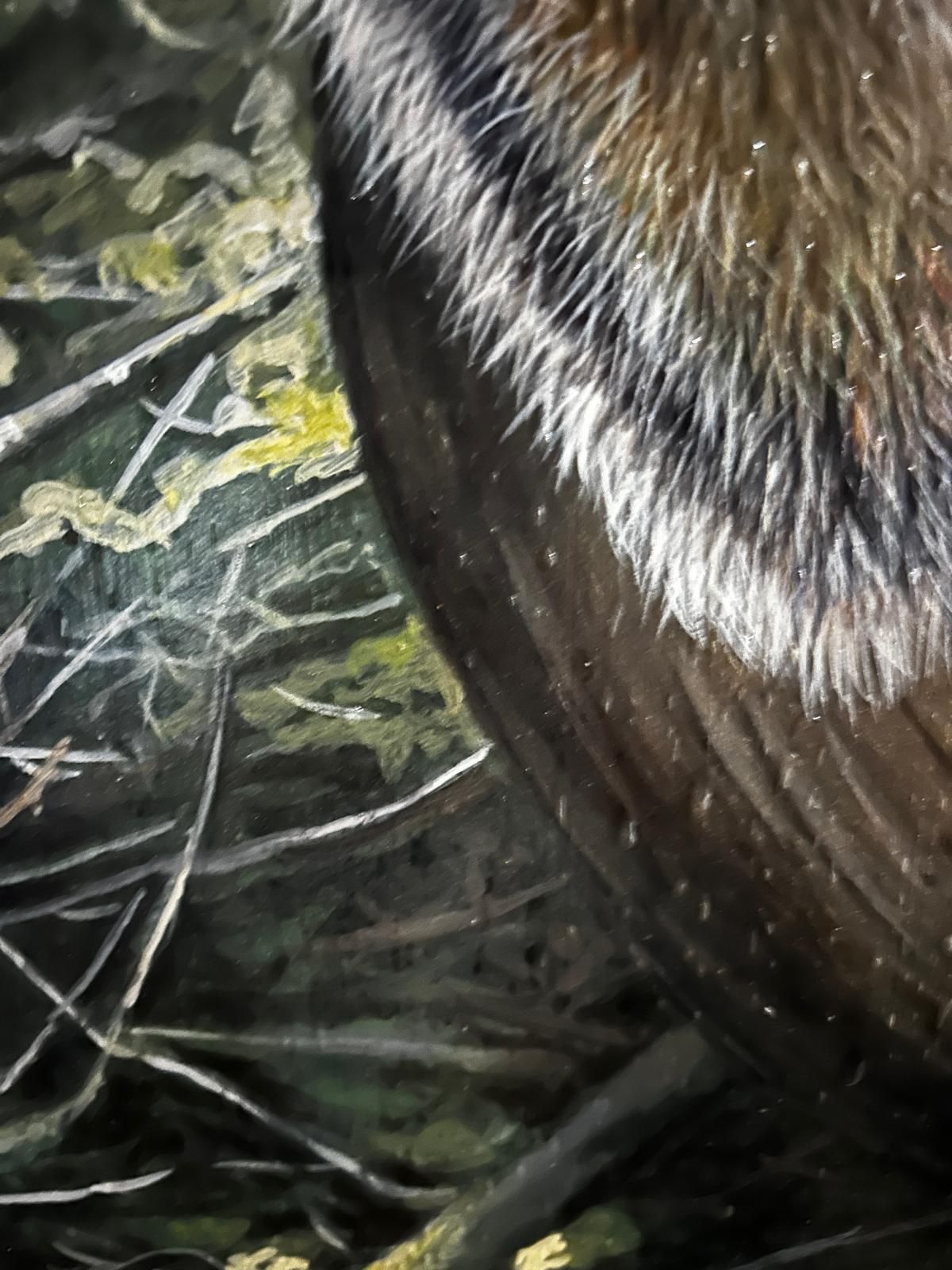 John Wachorn Oil Painting Of A Woodland Squirrel photo Art