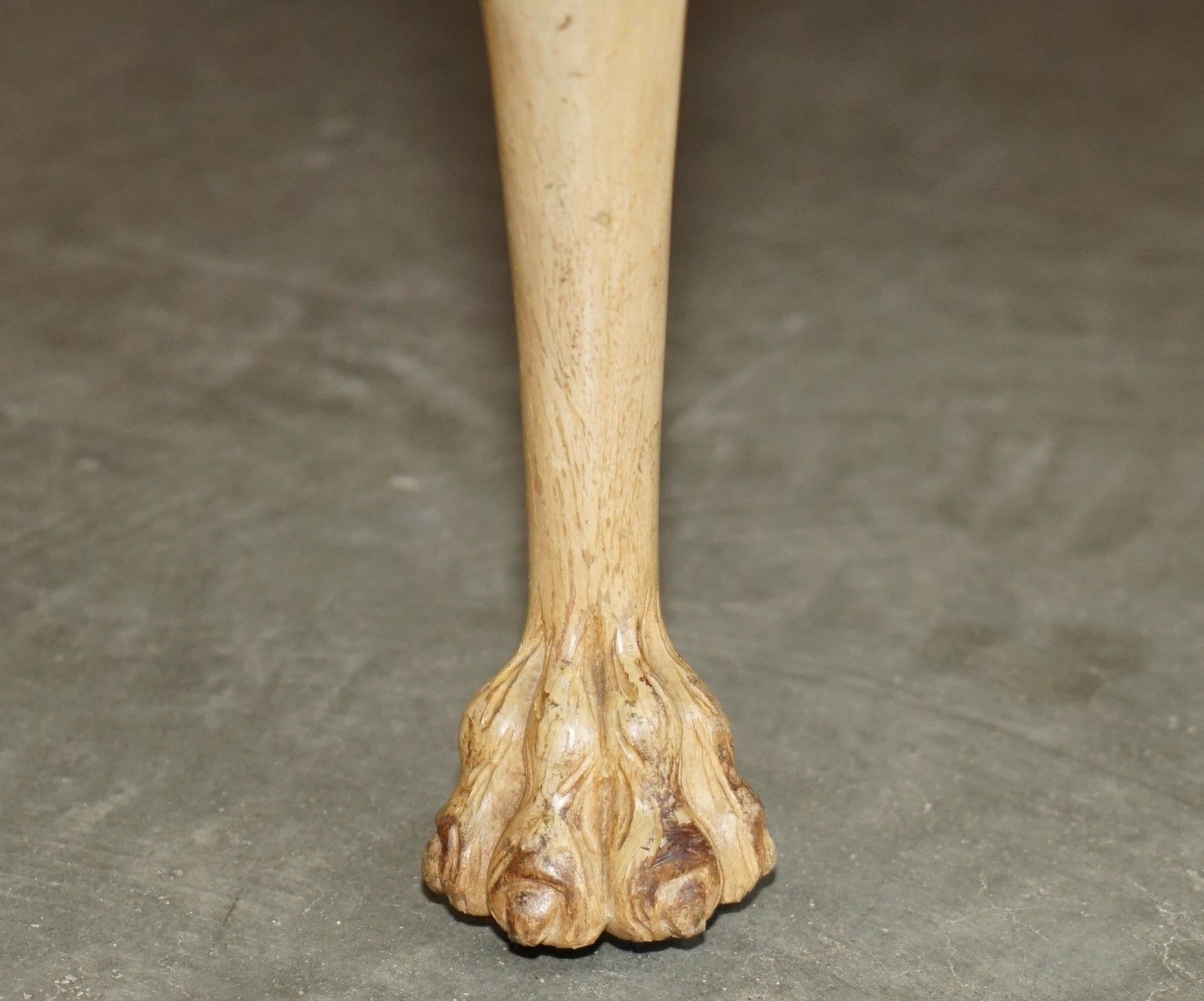 Exquisitely Hand Carved  Burr Walnut Coffee Cocktail Table Lion's Hairy Paw Legs photo vintage