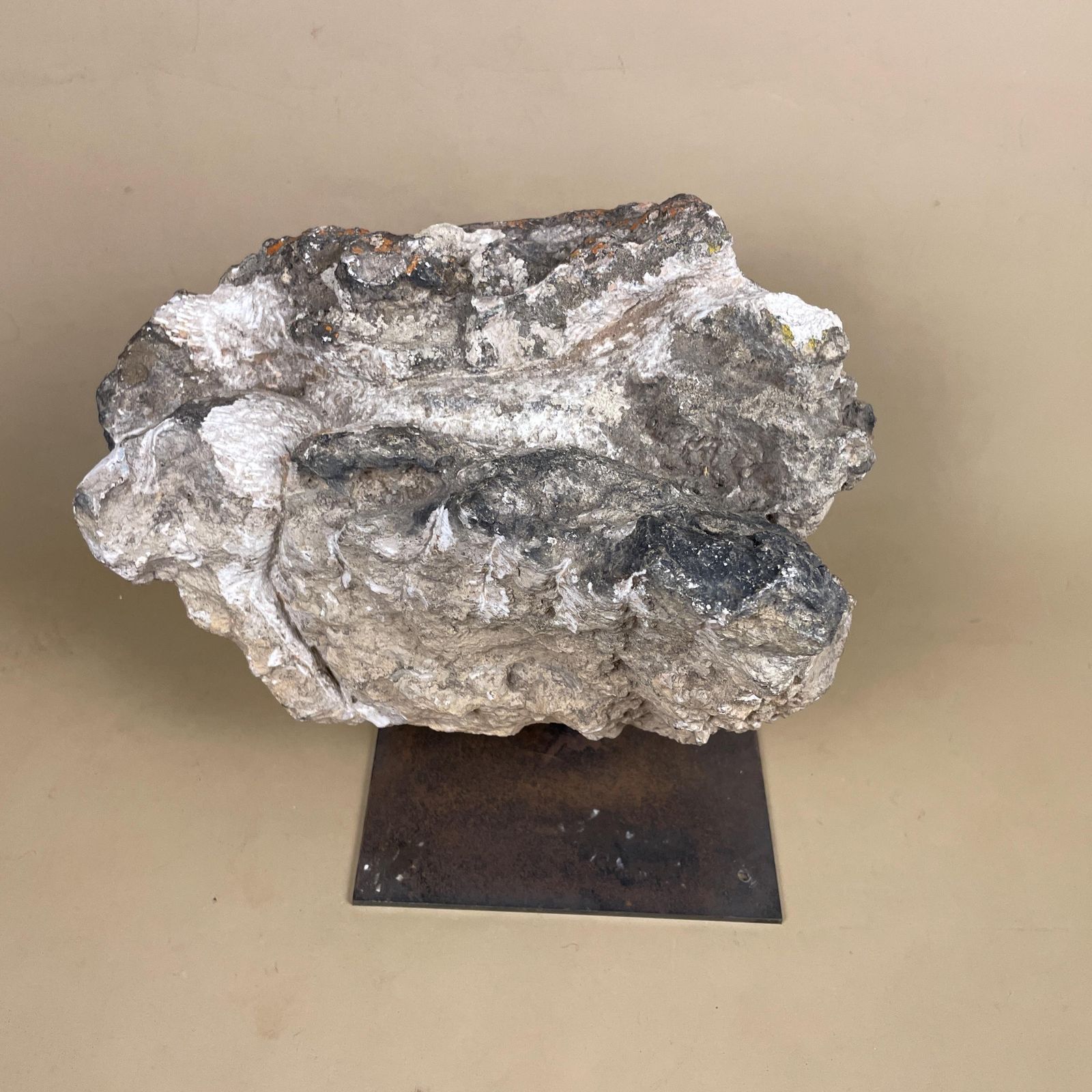 Large Natural Fossil Rock Specimen On Metal Stand Heavy Display Piece Art Museum Decor Mineral Collection Curio Display Stone photo for sale
