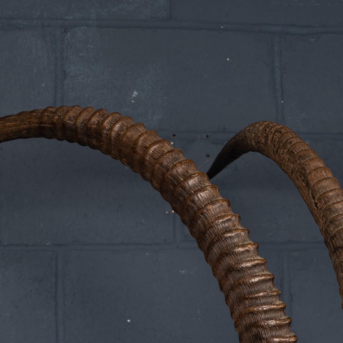 photo for sale 20thc Taxidermy Study Of An African Ibex, By Anthony Redmile, London C.1970