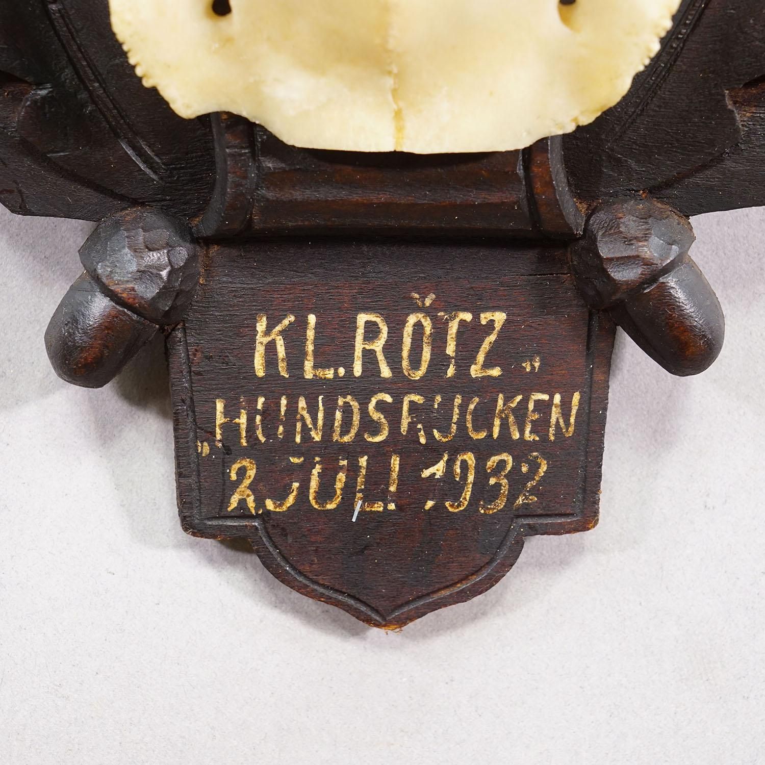 Antique Black Forest Red Deer Trophy On Carved Plaque   Germany 1932 photo vinterior