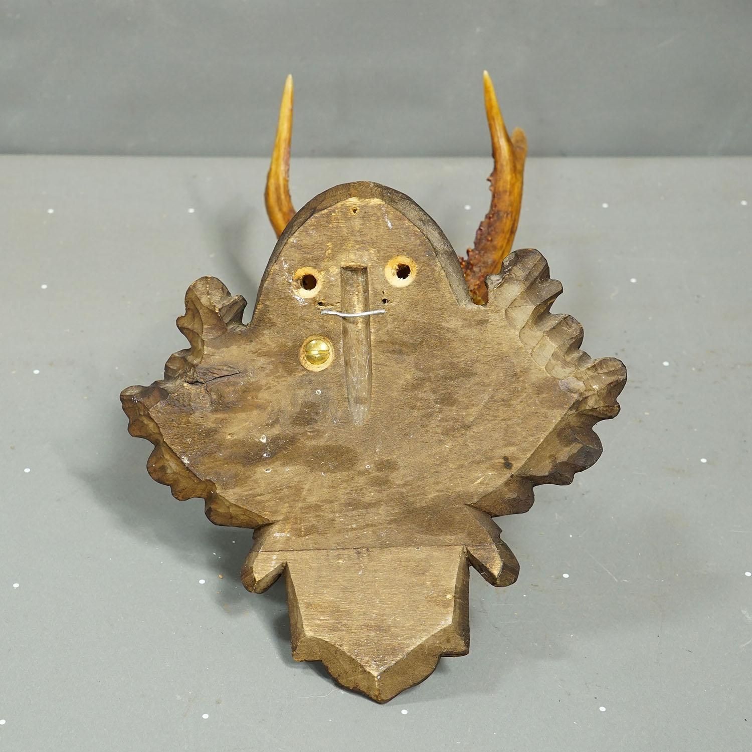 Antique Black Forest Red Deer Trophy On Carved Plaque   Germany 1932 photo buy