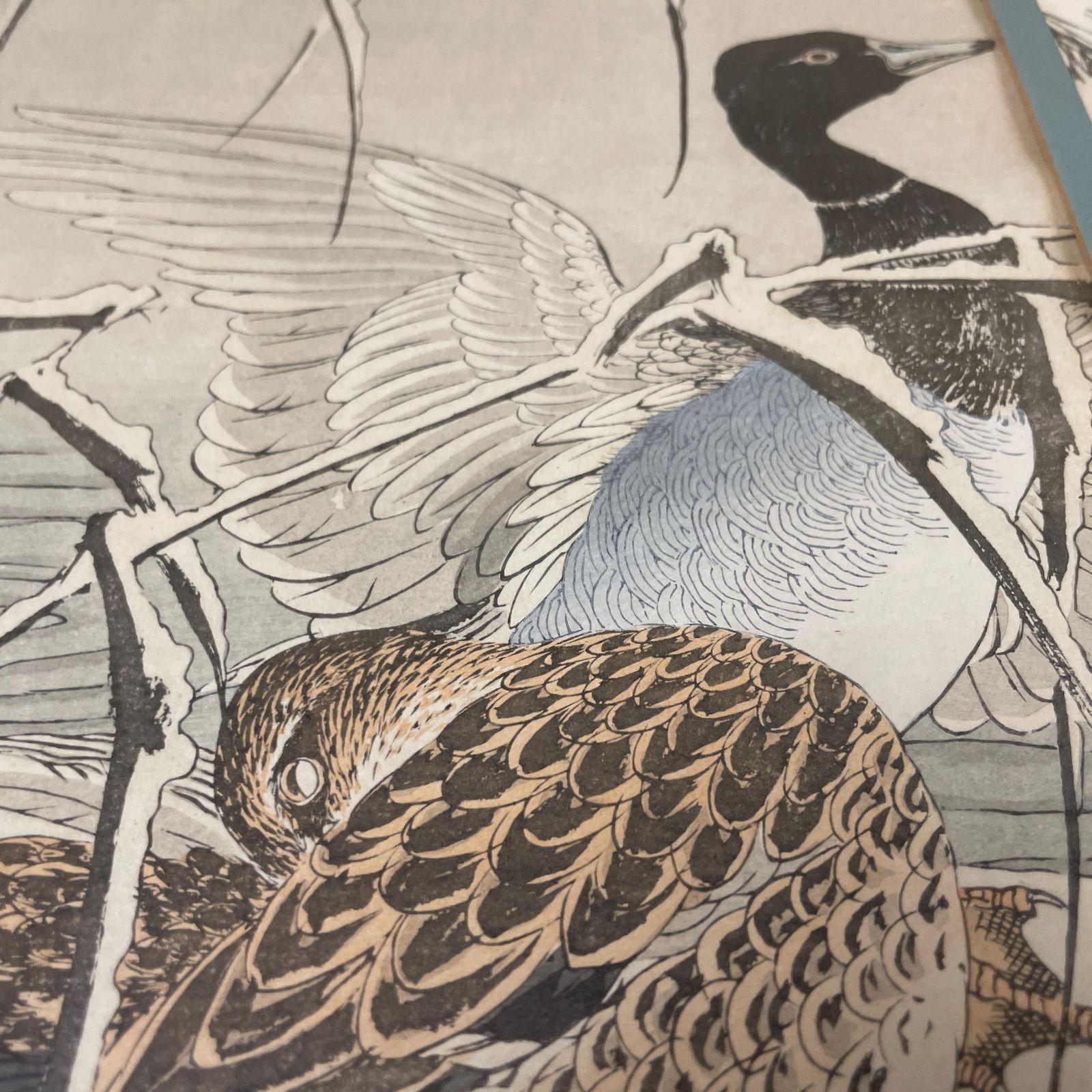 Oriental Art Japan Original Imao Keinen Picture Flowers & Birds Book Reed Duck Picture Framed Gold Antique Artwork Woodcut Print Japanese photo vinterior