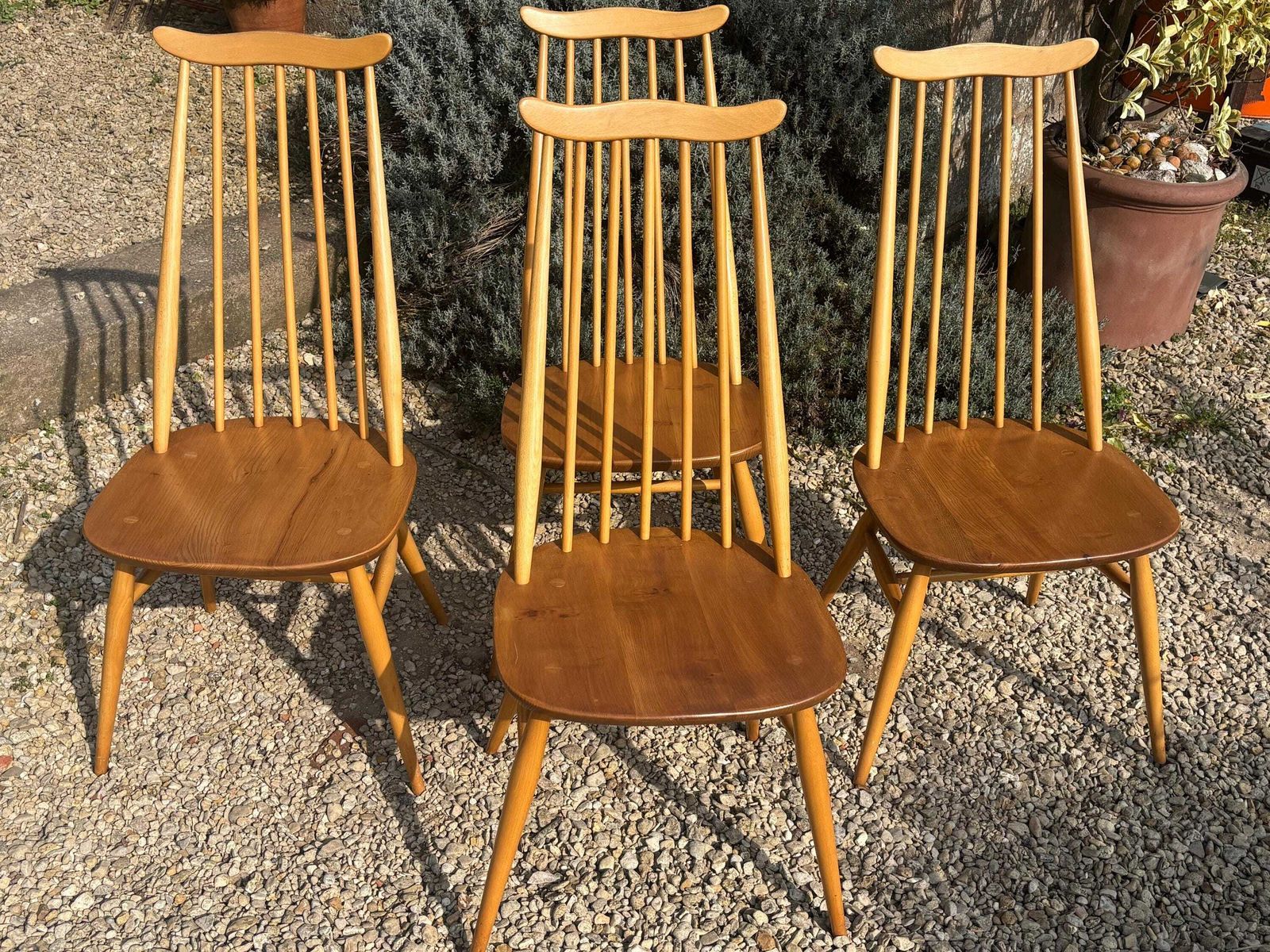 Ercol Goldsmith Dining Chairs X 4 Blonde Gold Label