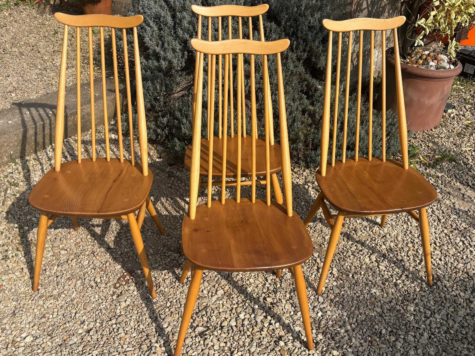 Ercol Goldsmith Dining Chairs X 4 Blonde Gold Label photo furniture