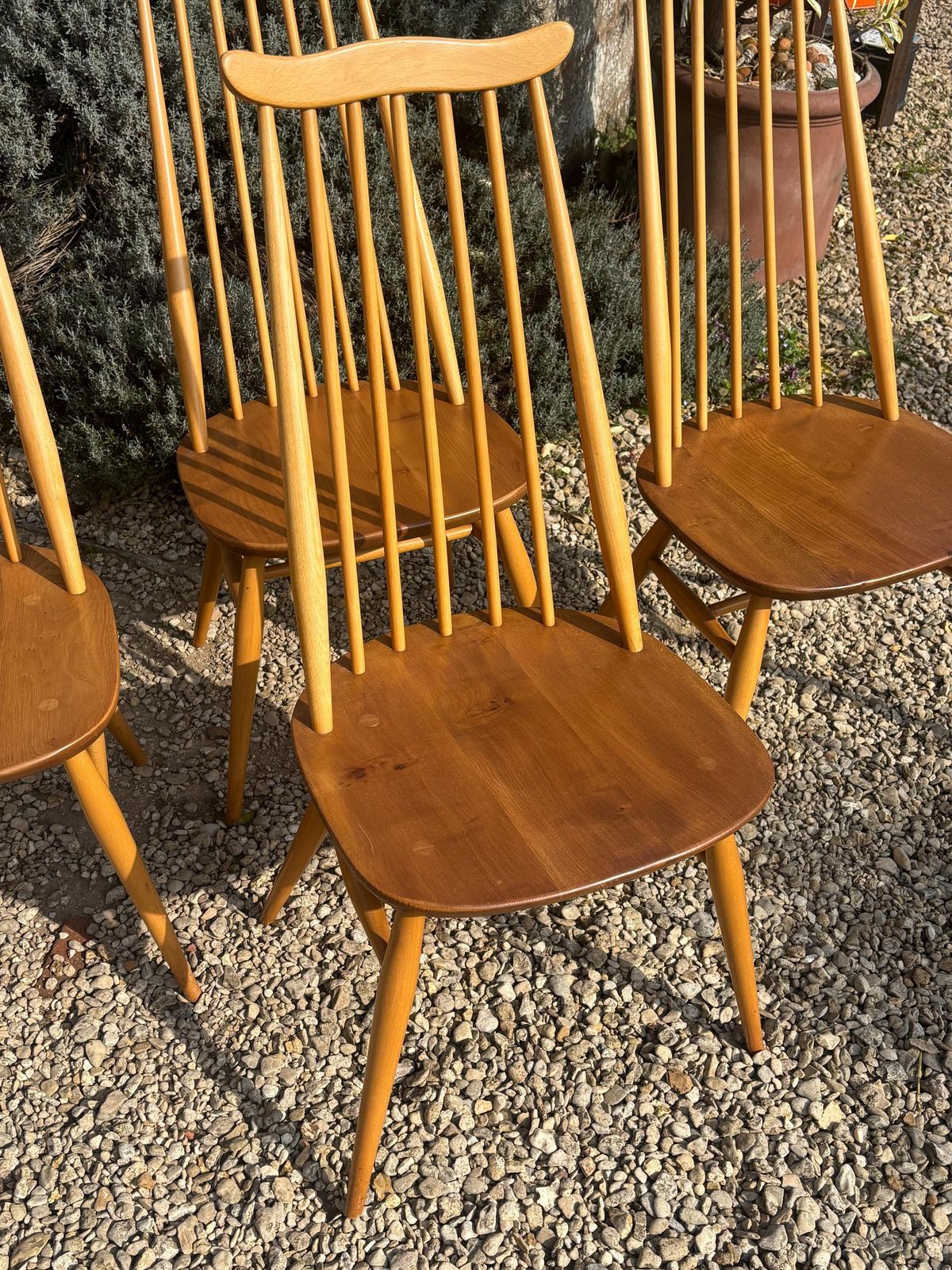 Ercol Goldsmith Dining Chairs X 4 Blonde Gold Label photo Furniture