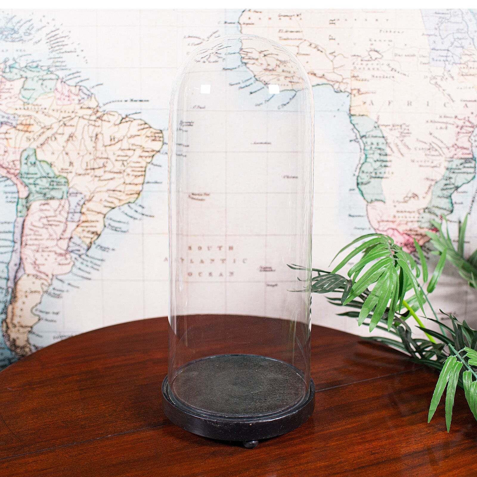 Tall Victorian Antique Display Showcase, English, Glass, Taxidermy Dome, C.1885 photo Home Decor