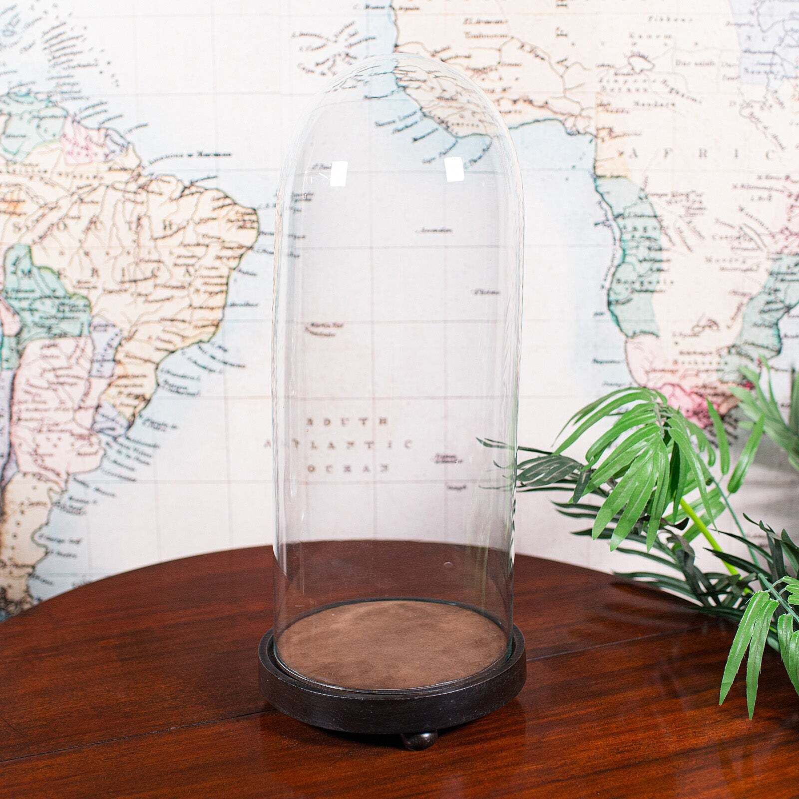 Tall Victorian Antique Specimen Showcase Dome, English, Glass, Taxidermy, 1895 photo Home Decor