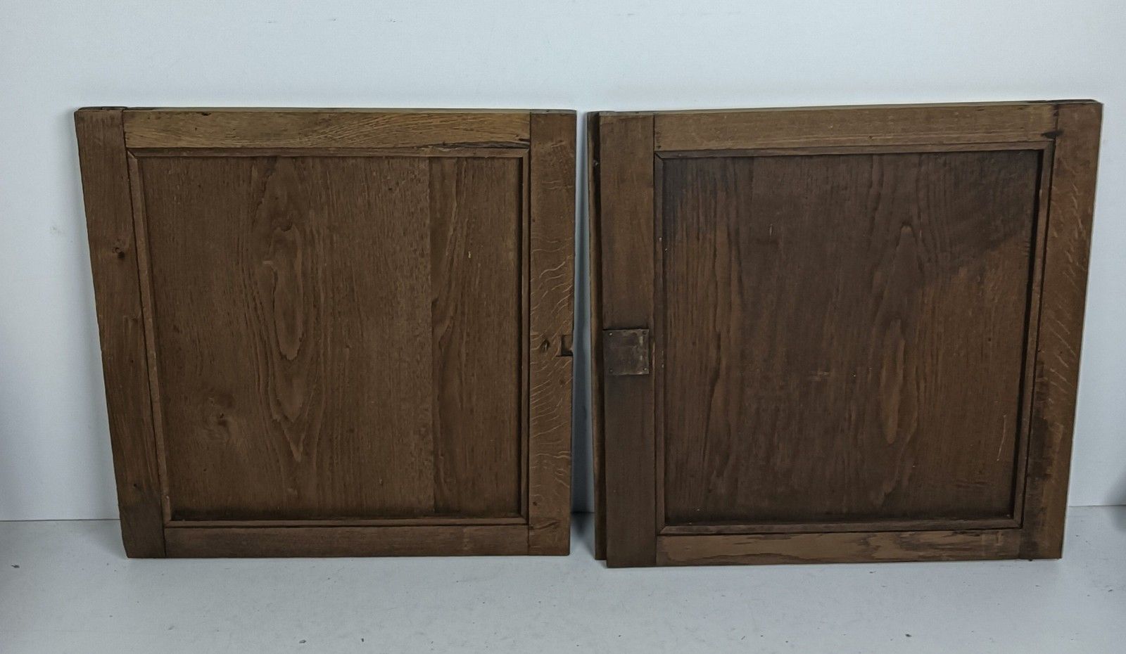 Pair Antique Door Panels Doors Cabinet Reclaimed Architectural Vase Flowers photo vinterior