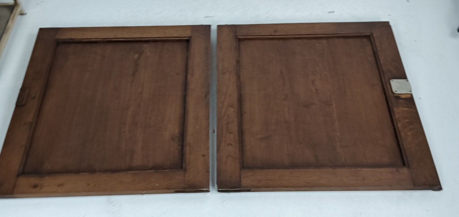 Pair Antique Door Panels Doors Cabinet Reclaimed Architectural Vase Flowers Bas photo vinterior