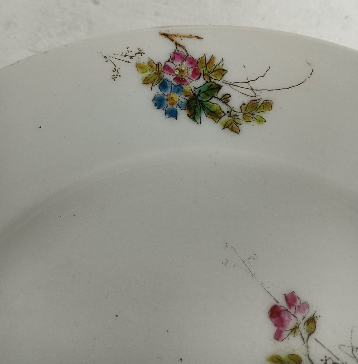 Set Of 6 Victorian Antique 19th Century Dinner Plates Hand Painted Flowers Butte photo vinterior