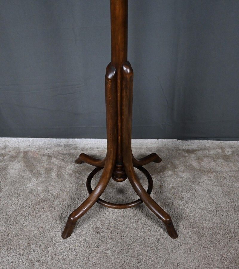 photo furniture Parrot Coat Rack In Beechwood – Early 20th Century