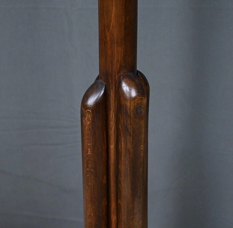 photo for sale Parrot Coat Rack In Beechwood – Early 20th Century