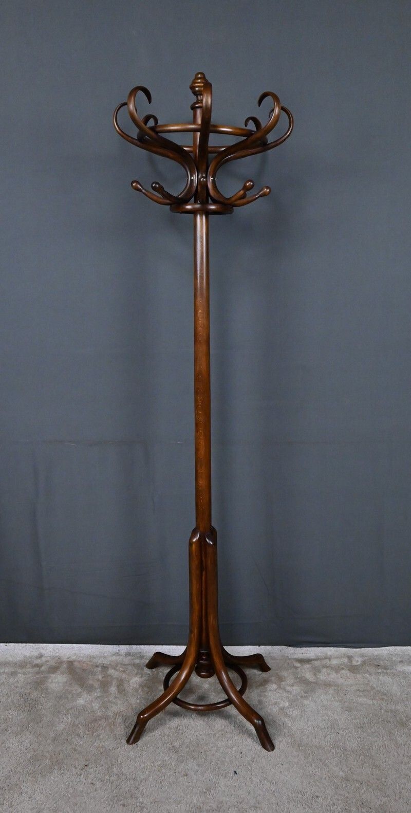 photo vintage Parrot Coat Rack In Beechwood – Early 20th Century