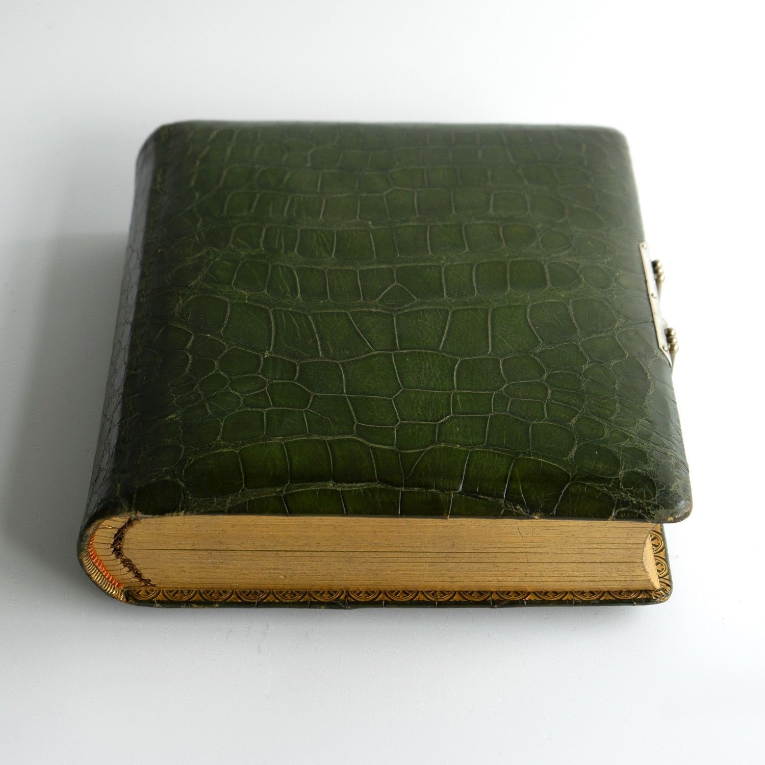 Antique Victorian Green Crocodile Skin Leather Photograph Album And Contents photo buy