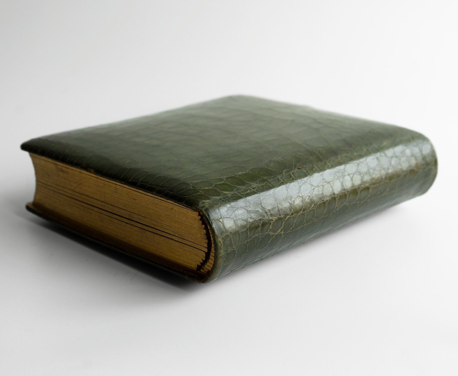 photo vinterior Antique Victorian Green Crocodile Skin Leather Photograph Album And Contents