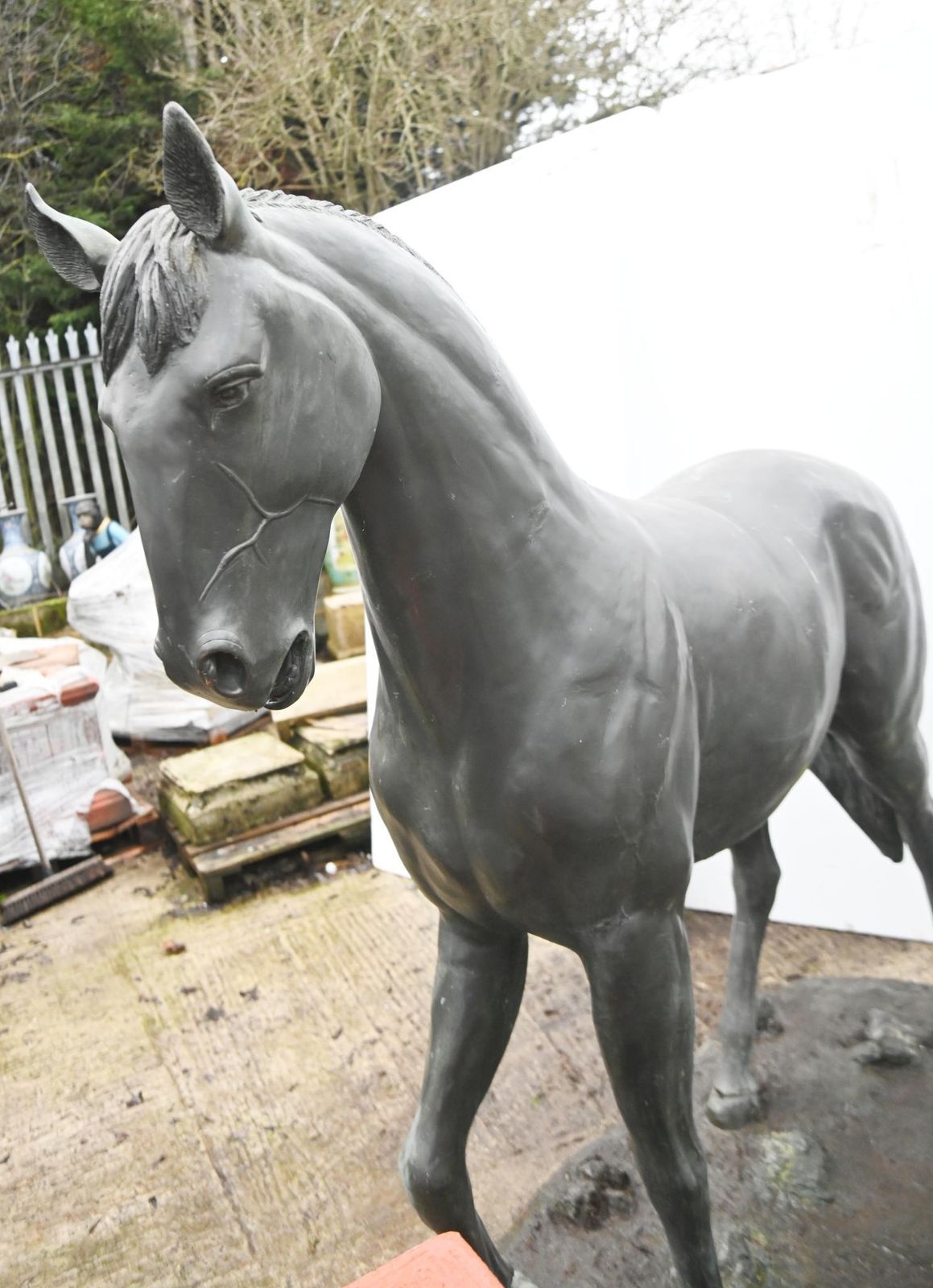 Lifesize Bronze Horse Statue Garden Equestrian Sculpture photo 8500.0