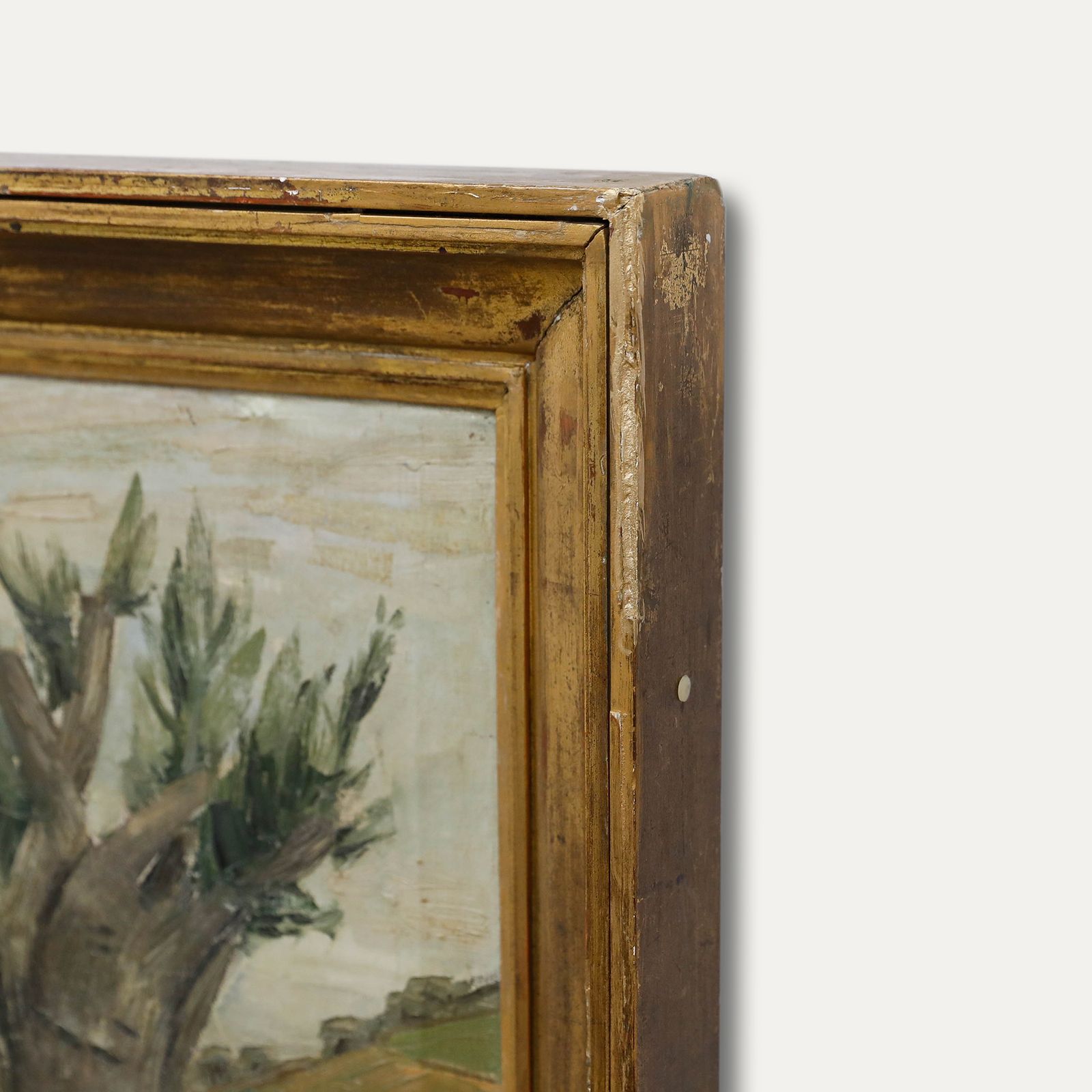 Léo Van Droogenbroek (1905 1995) 1946 Oil, Road And Olive Trees photo 650.0