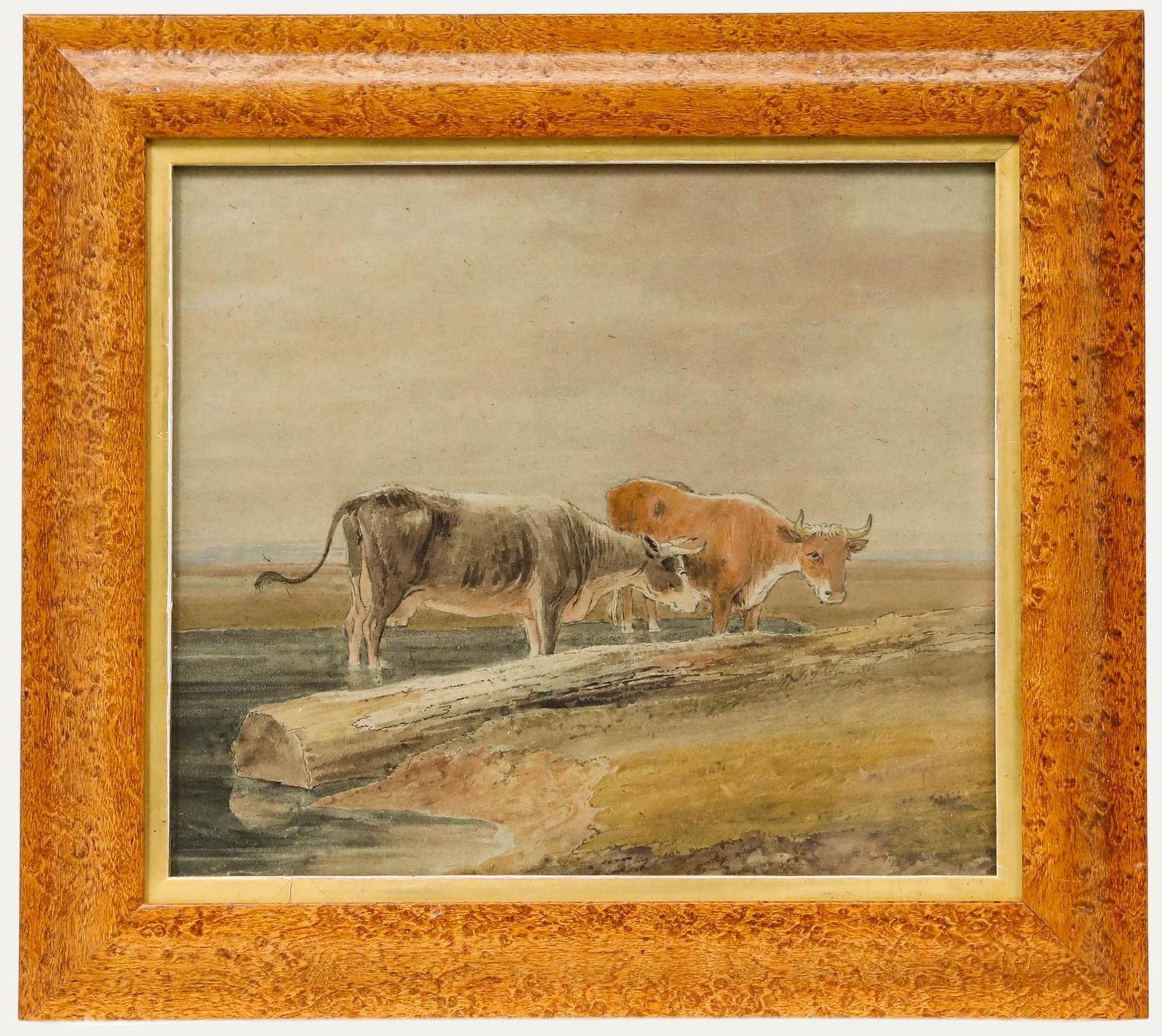Circle Of Thomas S. Cooper (1803 1902) Watercolour, Cattle Standing In Water