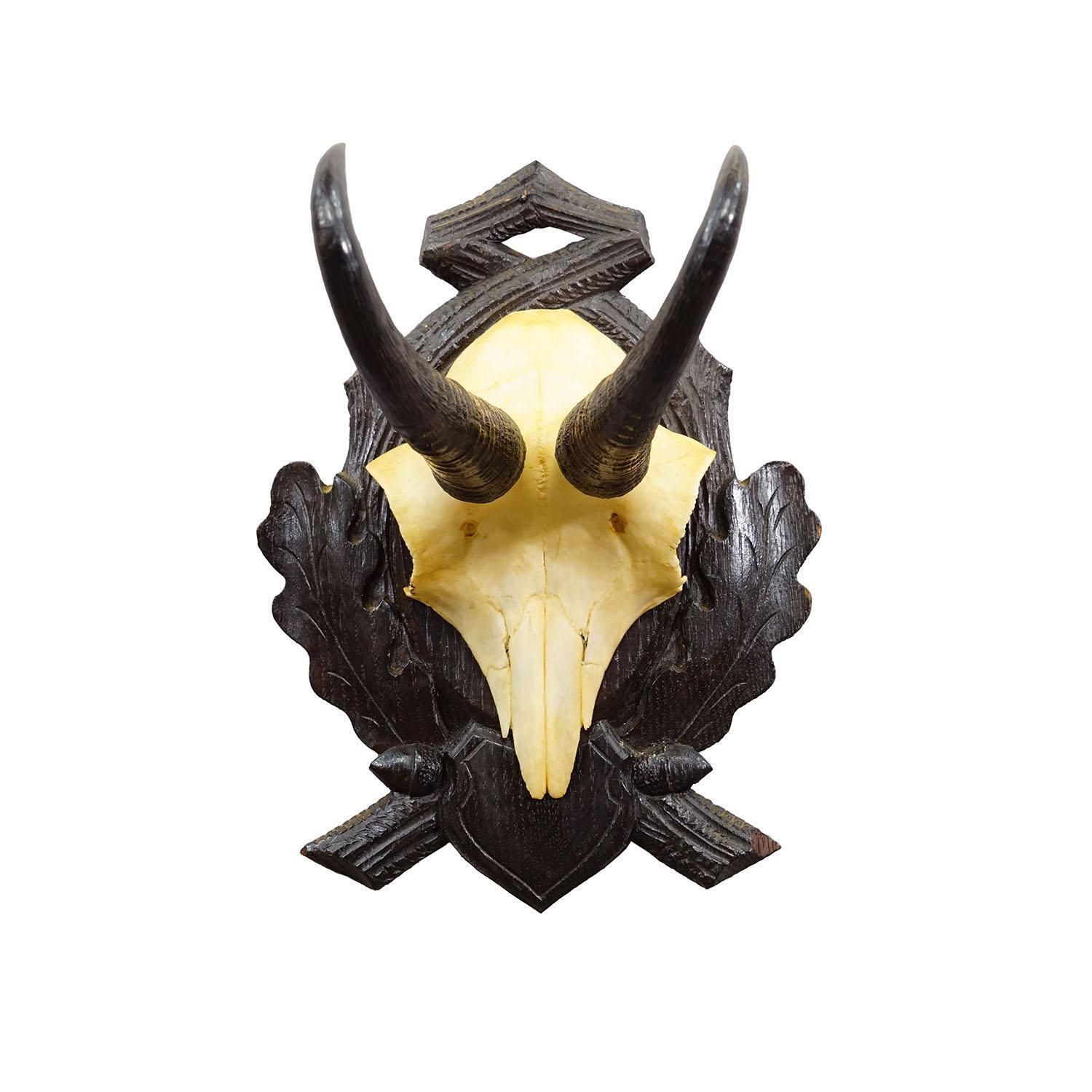 Antique Chamois Trophy On Carved Plaque, Germany Ca. 1930s photo furniture