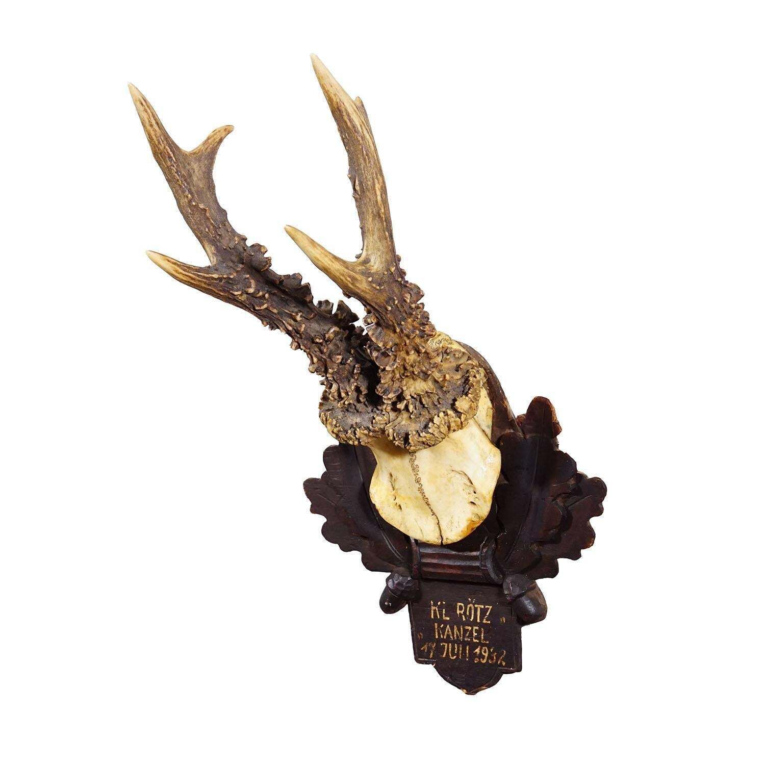Antique Black Forest Red Deer Trophy On Carved Plaque   Germany 1932 photo furniture