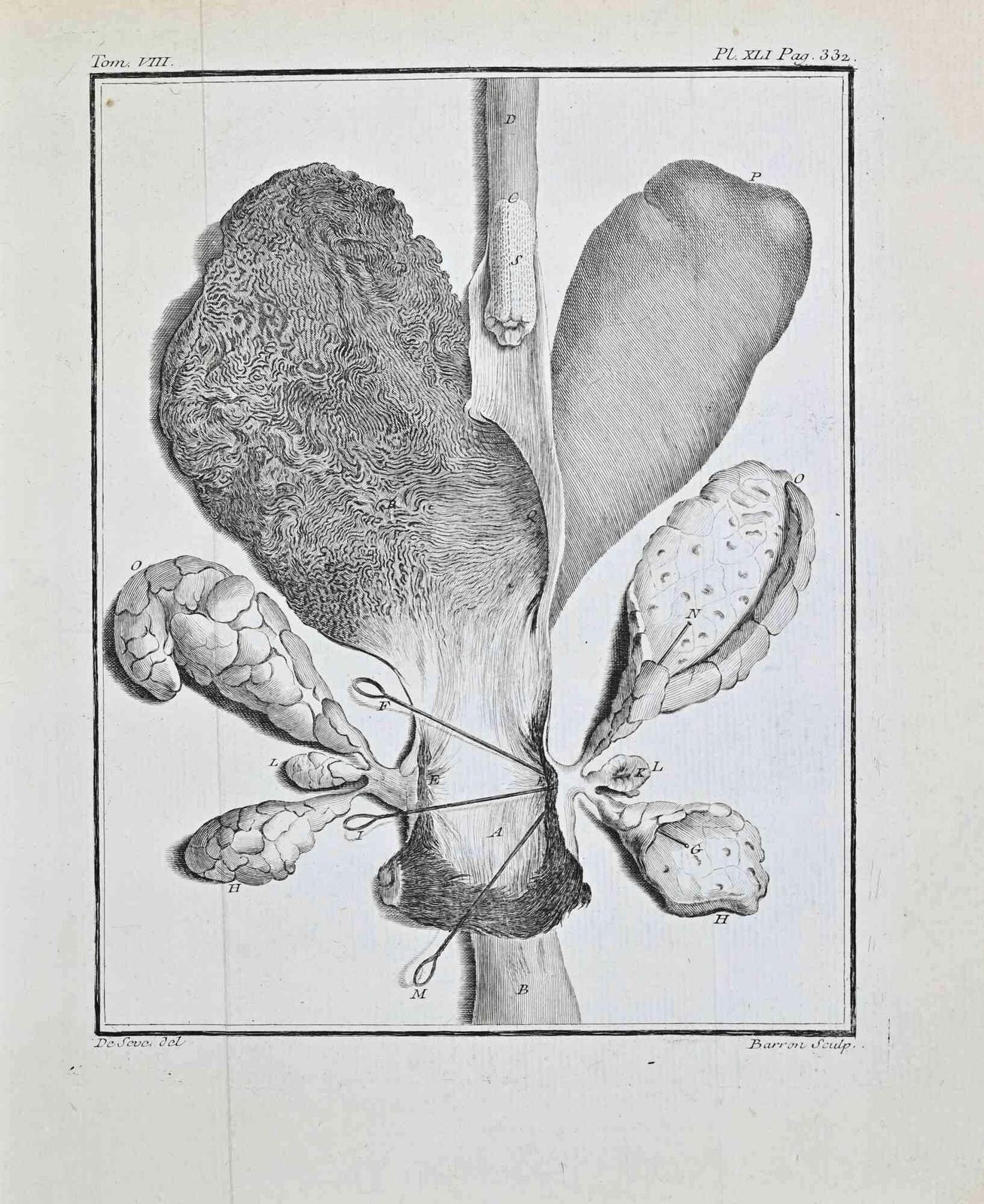 Buvée L'américainanatomical Studies   Etching By Buvée L'américain   17711771