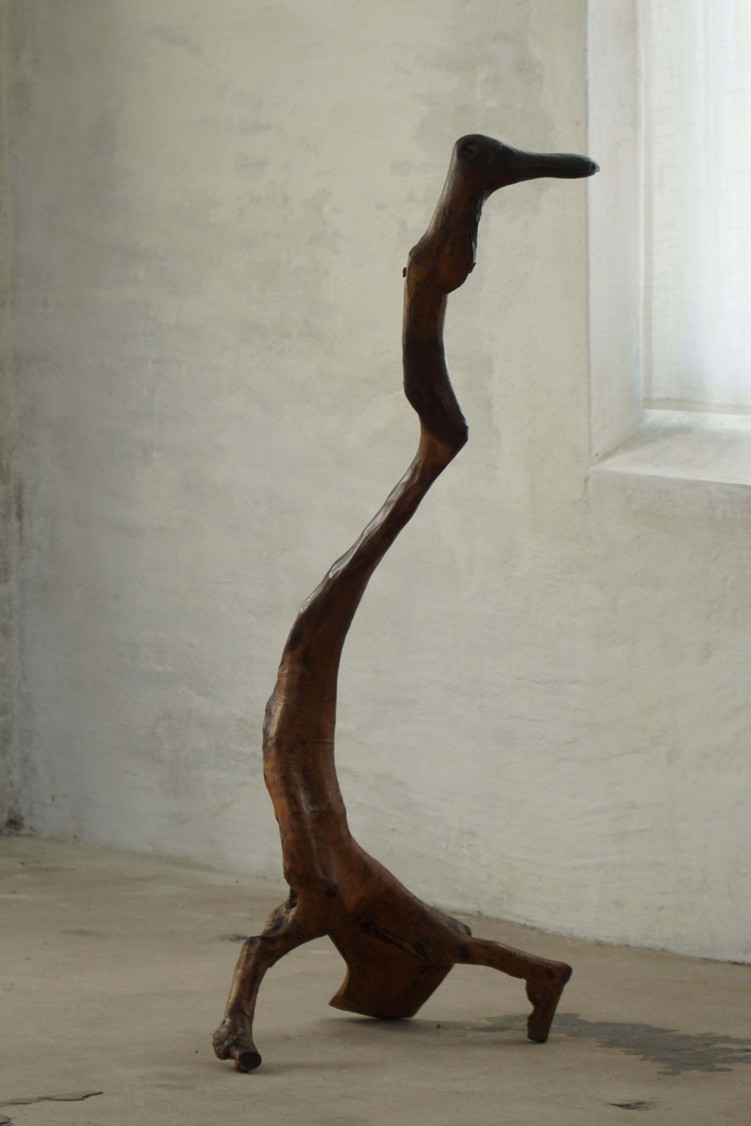 French Mid Century Abstract Wooden Sculpture, Organic Carved Bird Form, 1960s photo vintage