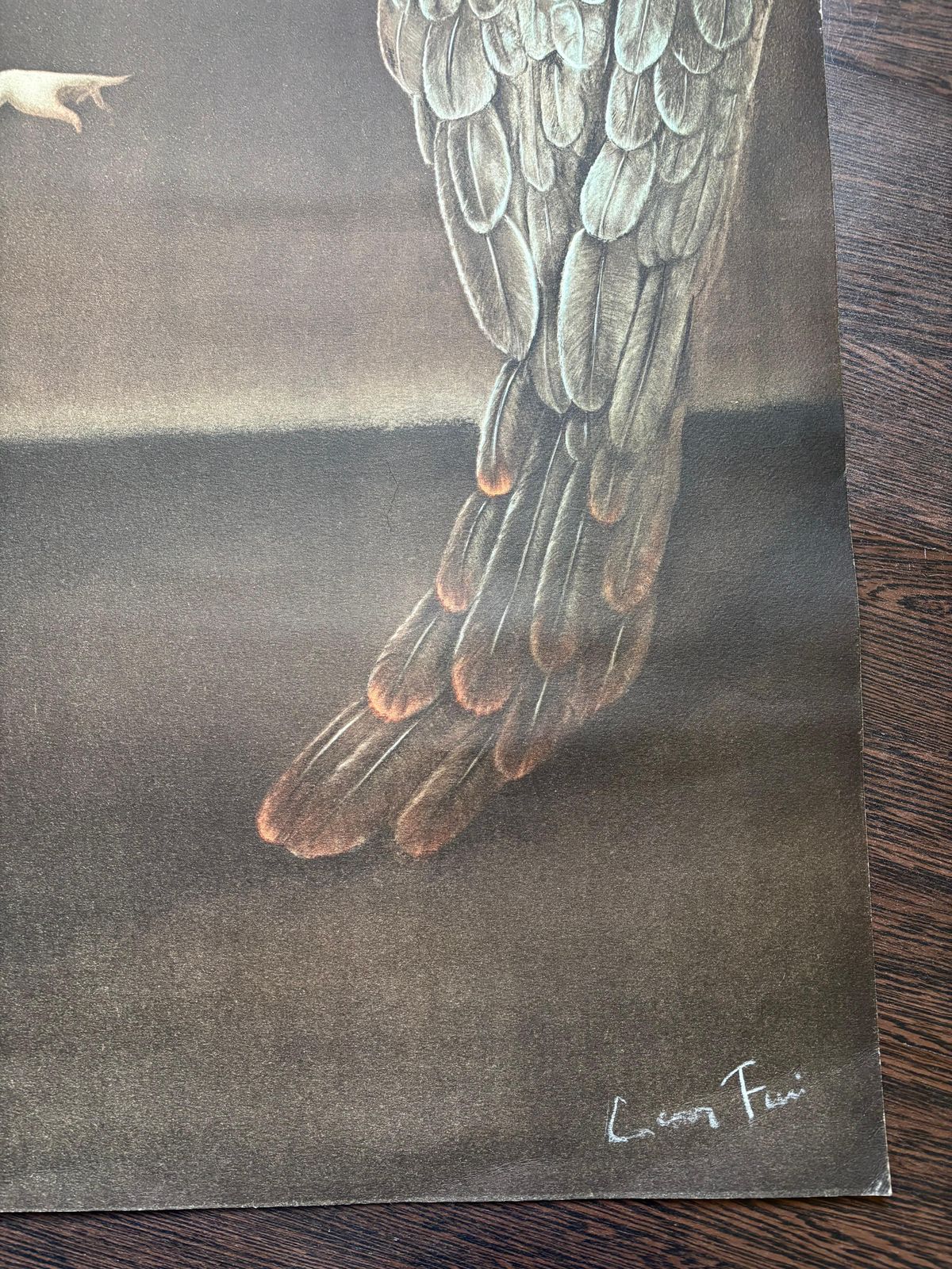 Leonor Finileonor Fini, Extrême Nuit, Rare Lithograph On Wove Paper, 19801980 photo vintage