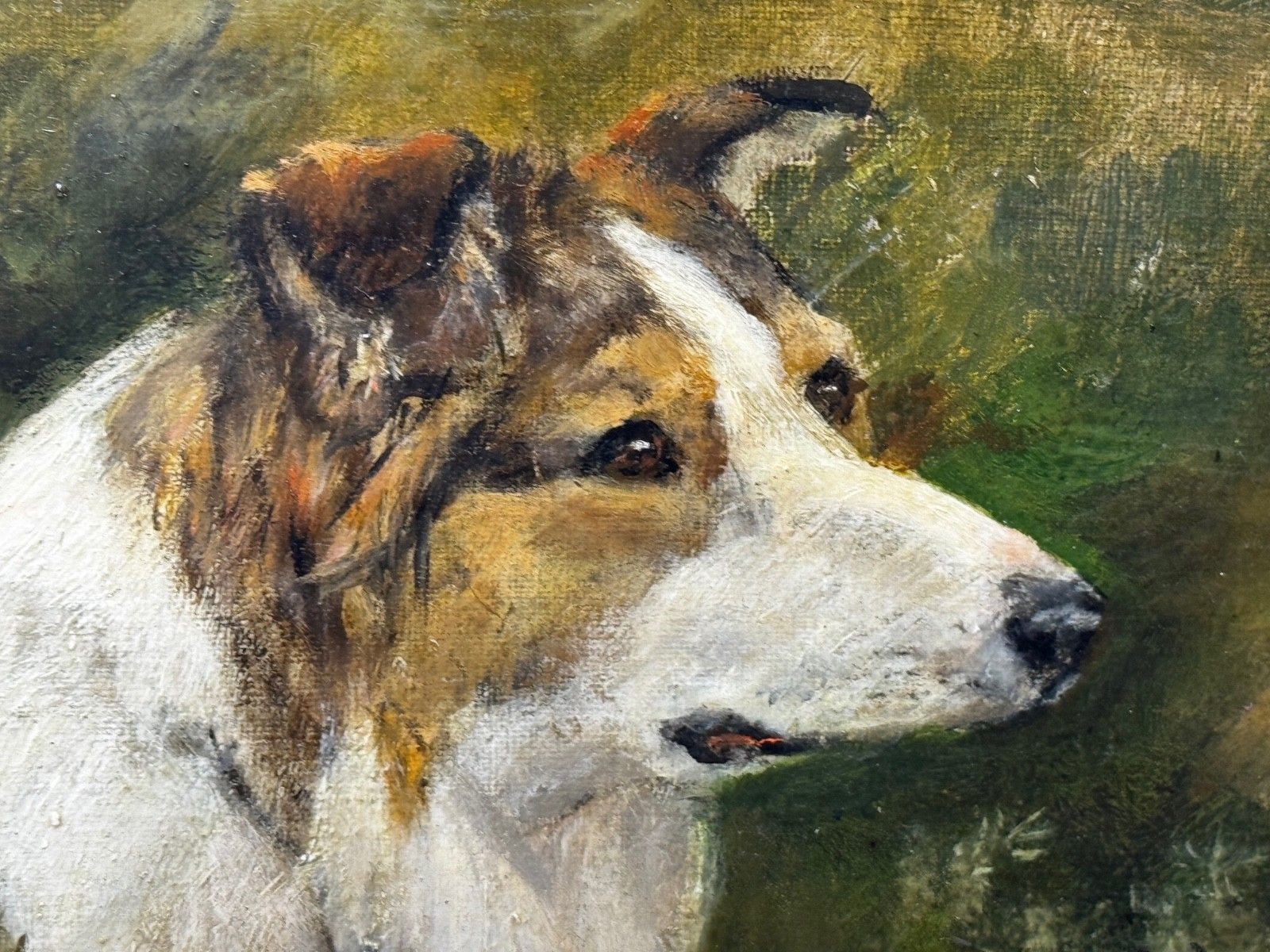 Large Victorian Oil Portrait Rough Collie Signed By John Trivett Nettleship photo 6800.0