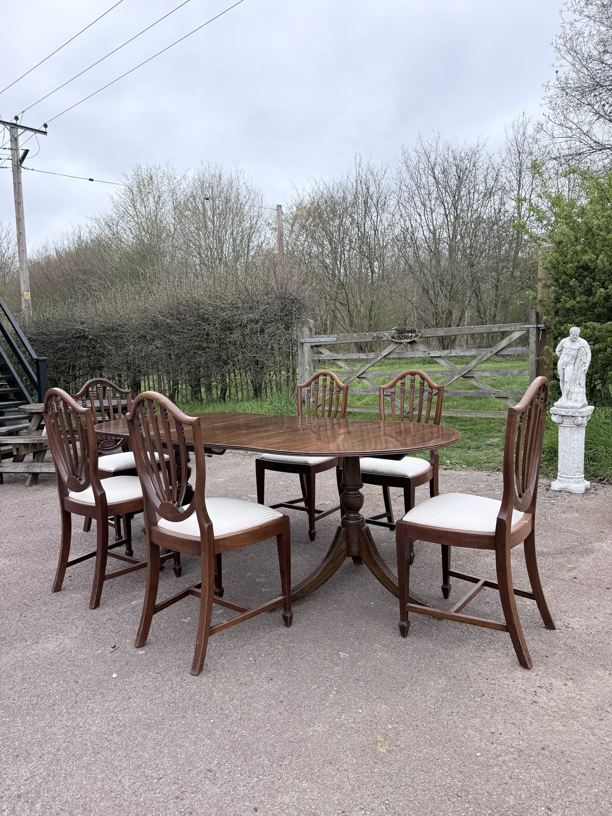 Edwardian (1900–1915) Mahogany Twin Pedestal Extending Dining Table & 6 Shield Back Chairs photo 425.0