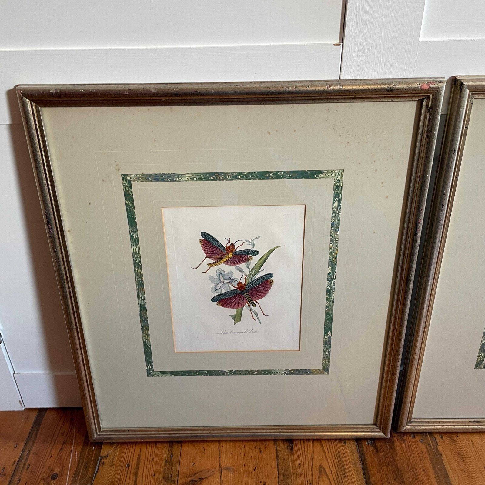 Framed Insect Wall Art Pair Hand Painted Botanical Moth Butterfly Pictures Large Wall Hanging Wooden Frame photo vintage