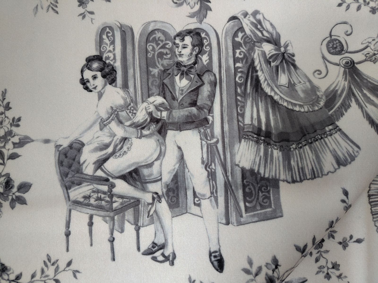 Pascale Risbourg “Erotic Toile” Velvet – 5 Metres photo vinterior