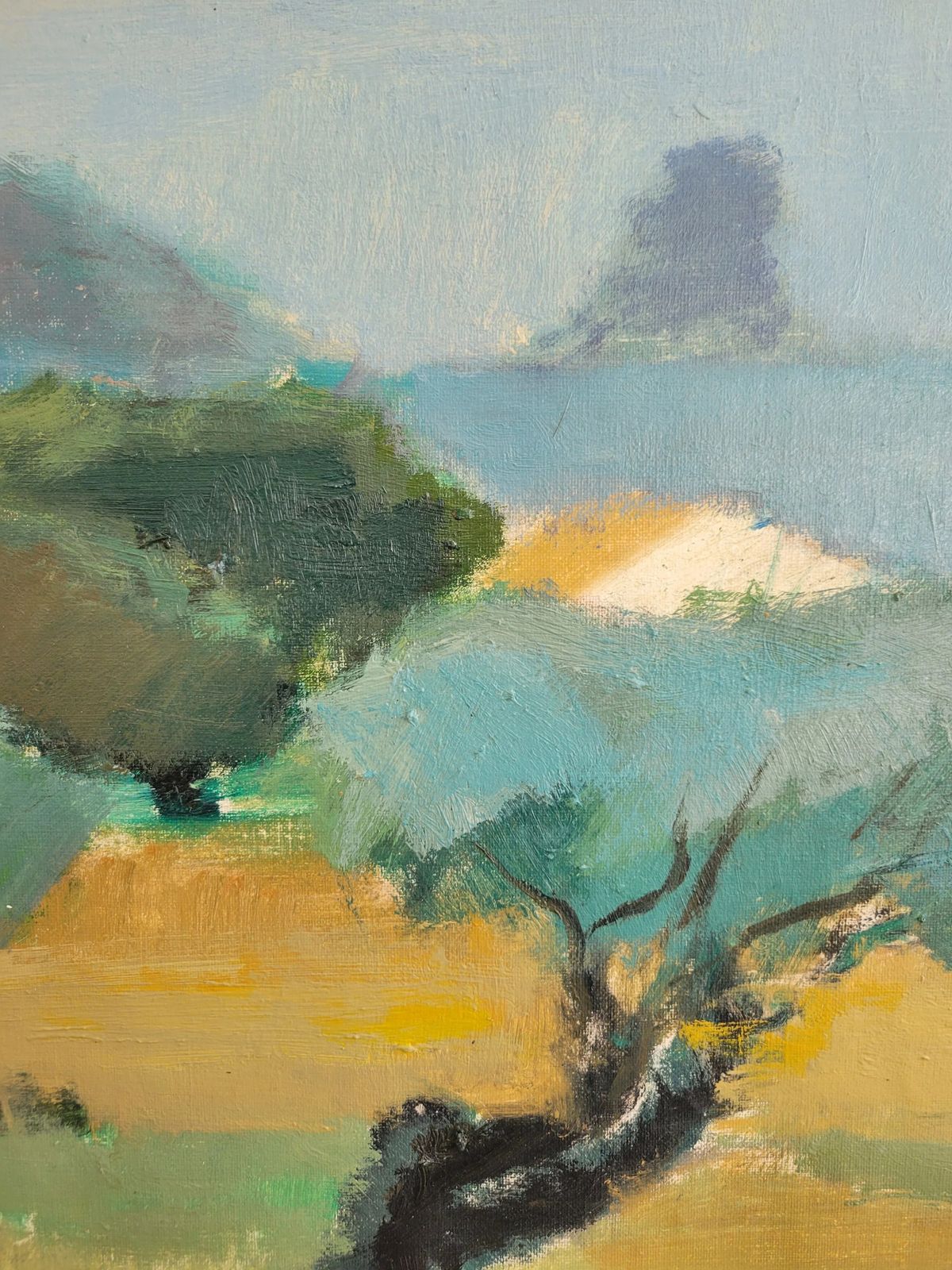 photo for sale Olive Grove Horizon  Large Original Mid Century Landscape