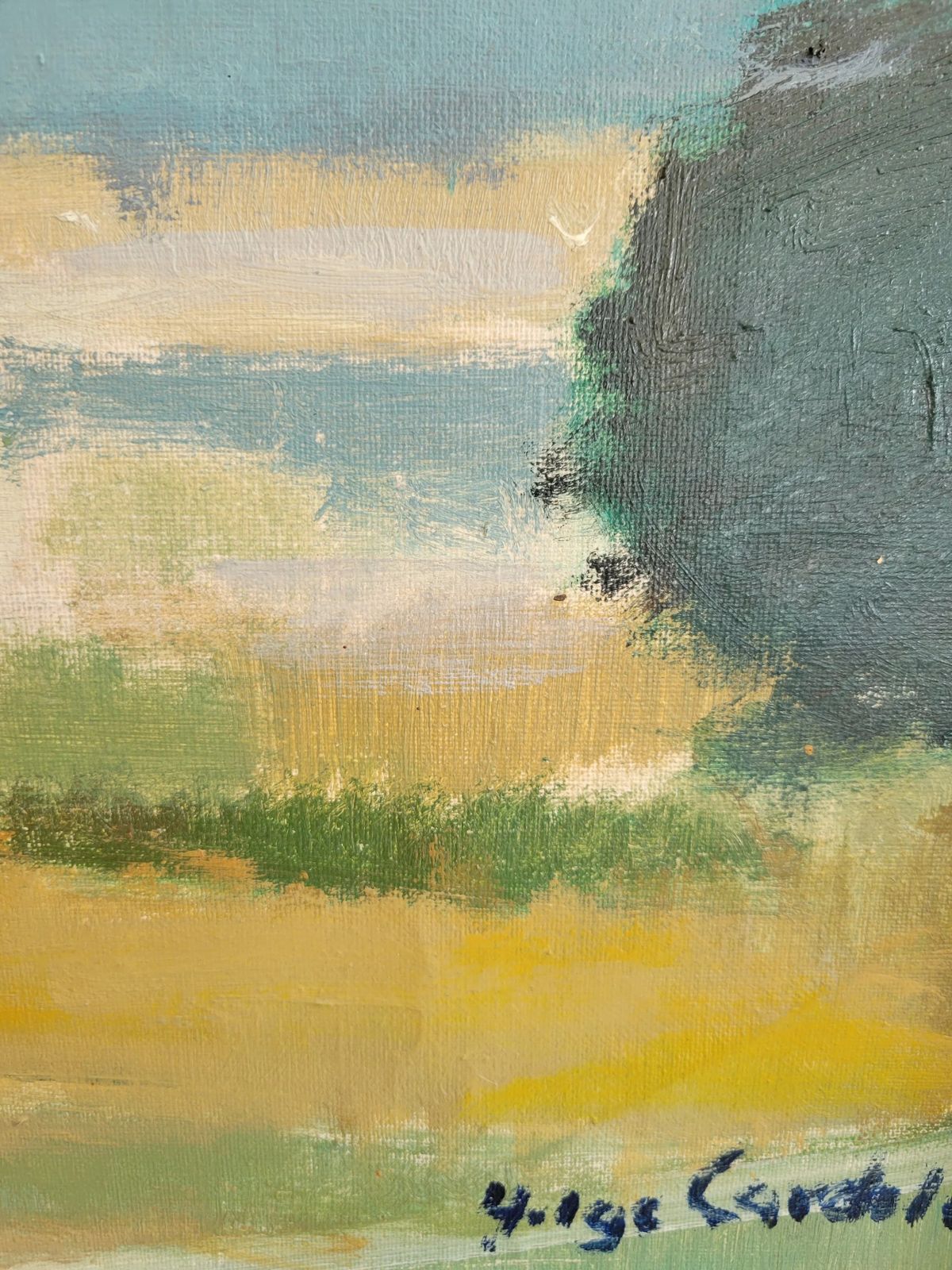 Art Olive Grove Horizon  Large Original Mid Century Landscape photo