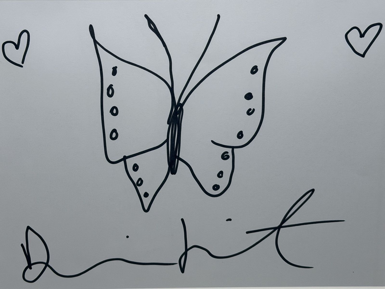 photo buy Damien Hirst Butterfly Drawing With Hearts – Signed Original Ink On Paper, Framed