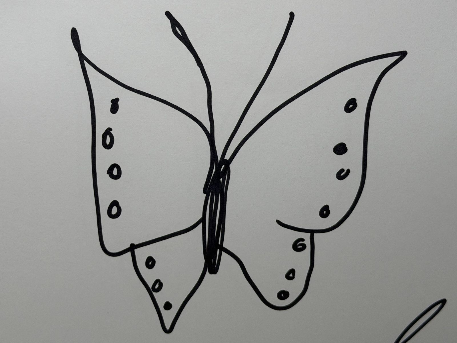 photo vintage Damien Hirst Butterfly Drawing With Hearts – Signed Original Ink On Paper, Framed