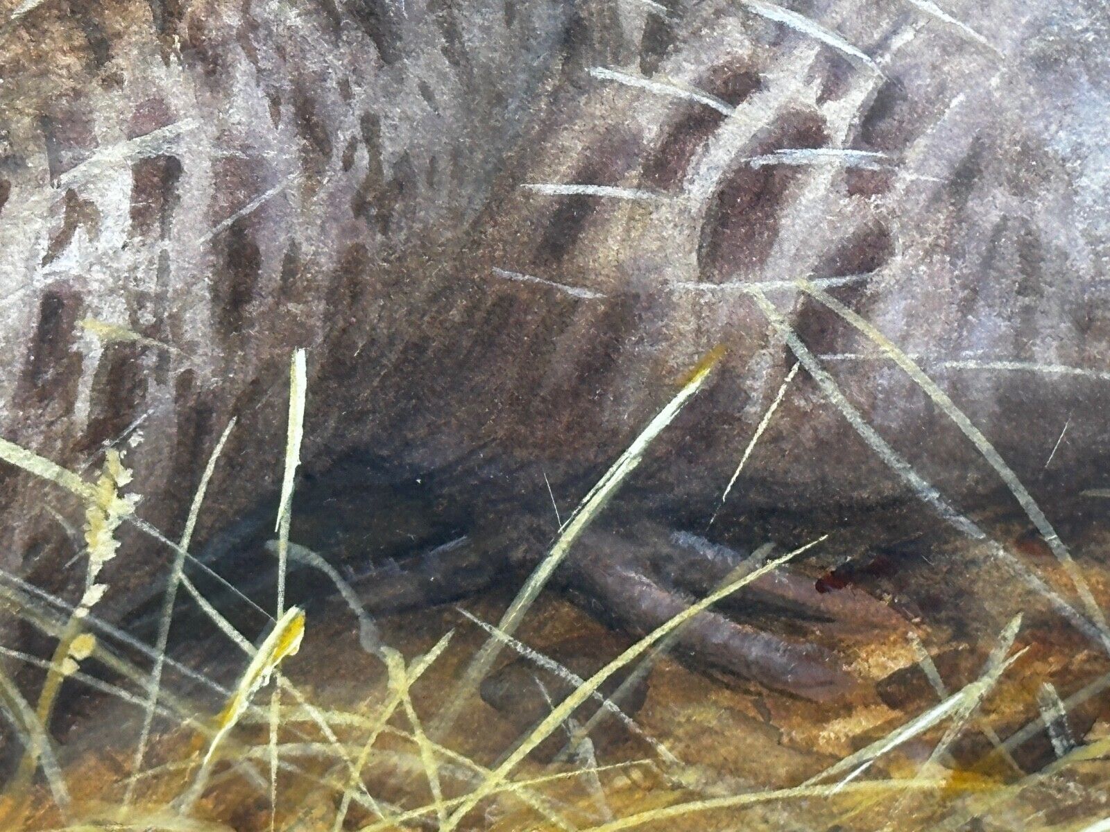 Grey Partridges Watercolour – British Wildlife Painting, Gilt Framed, In The Manner Of Archibald Thorburn photo vinterior