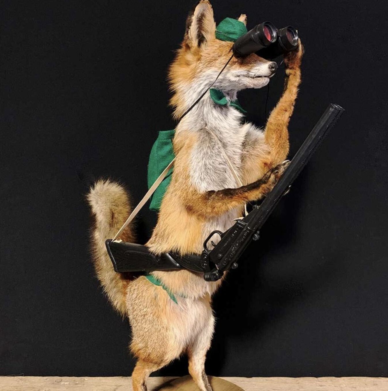 Vintage Mr Fox With Rifle & Binoculars 0297.