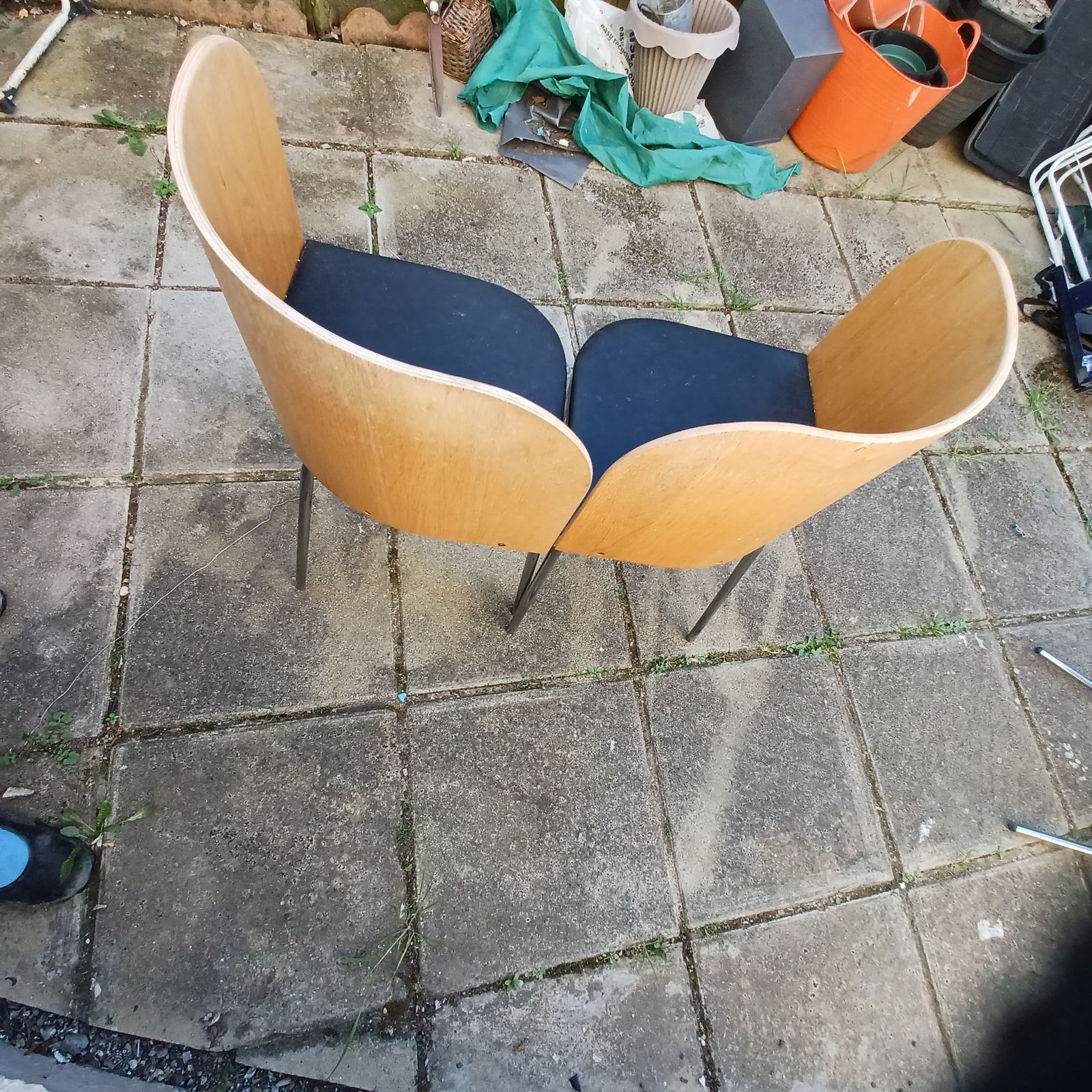 Fusion Chairs 3x Sandra Kragnert Style Retro Chairs Chrome Legs Wooden Chairs photo 340.0