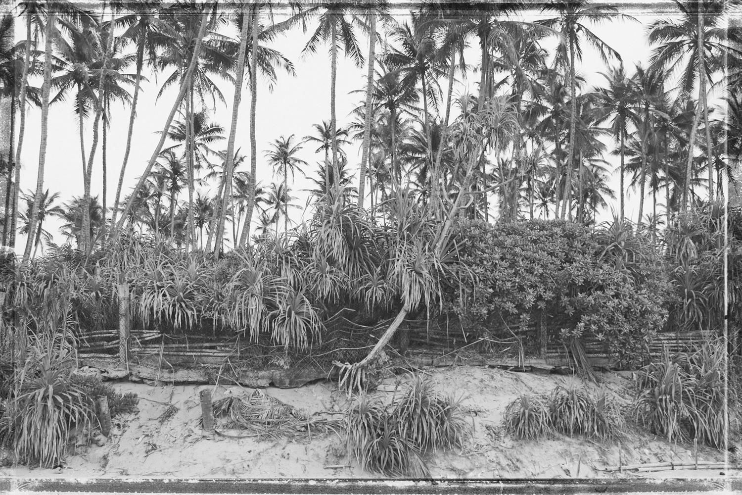 Stuart Möller 'Palms Beach' Limited Numbered And Signed Edition Framed In Black photo furniture