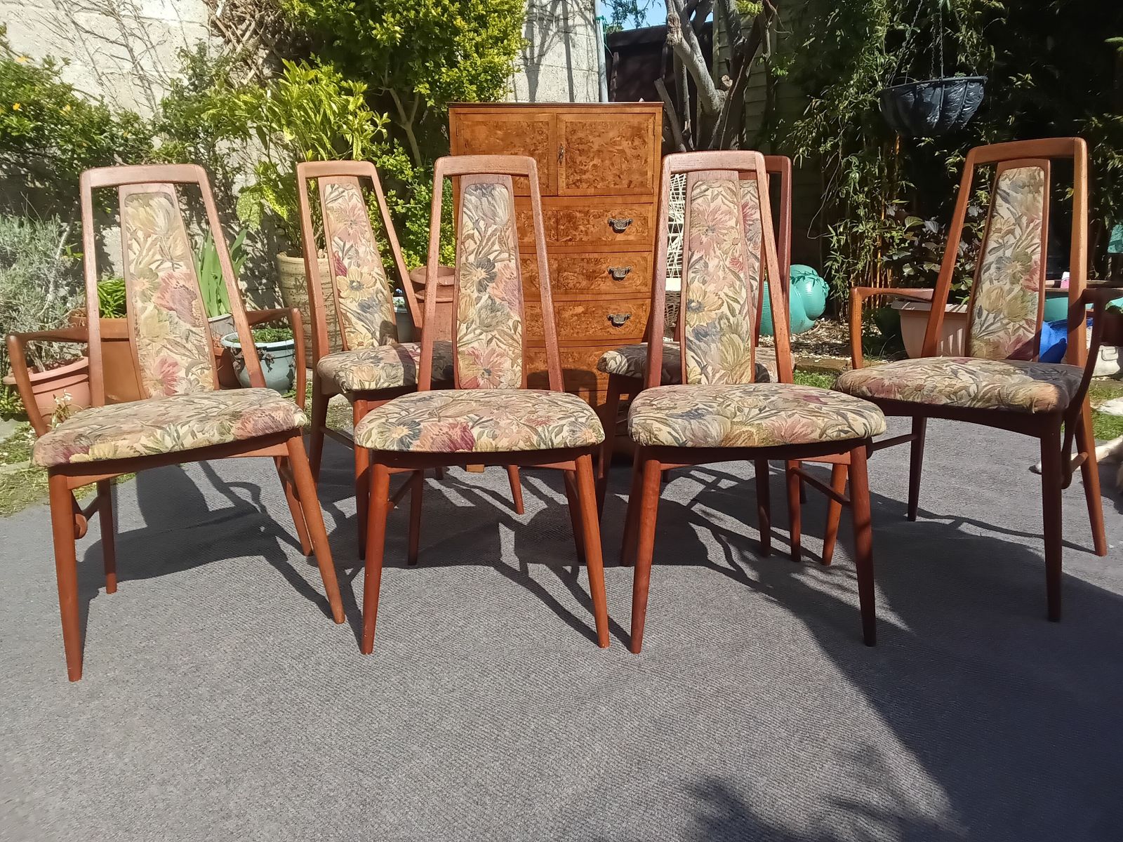 Reduced Another £200.... Set Of 6 Niels Koefoed Eva Dining Chairs For Hornslet. photo furniture